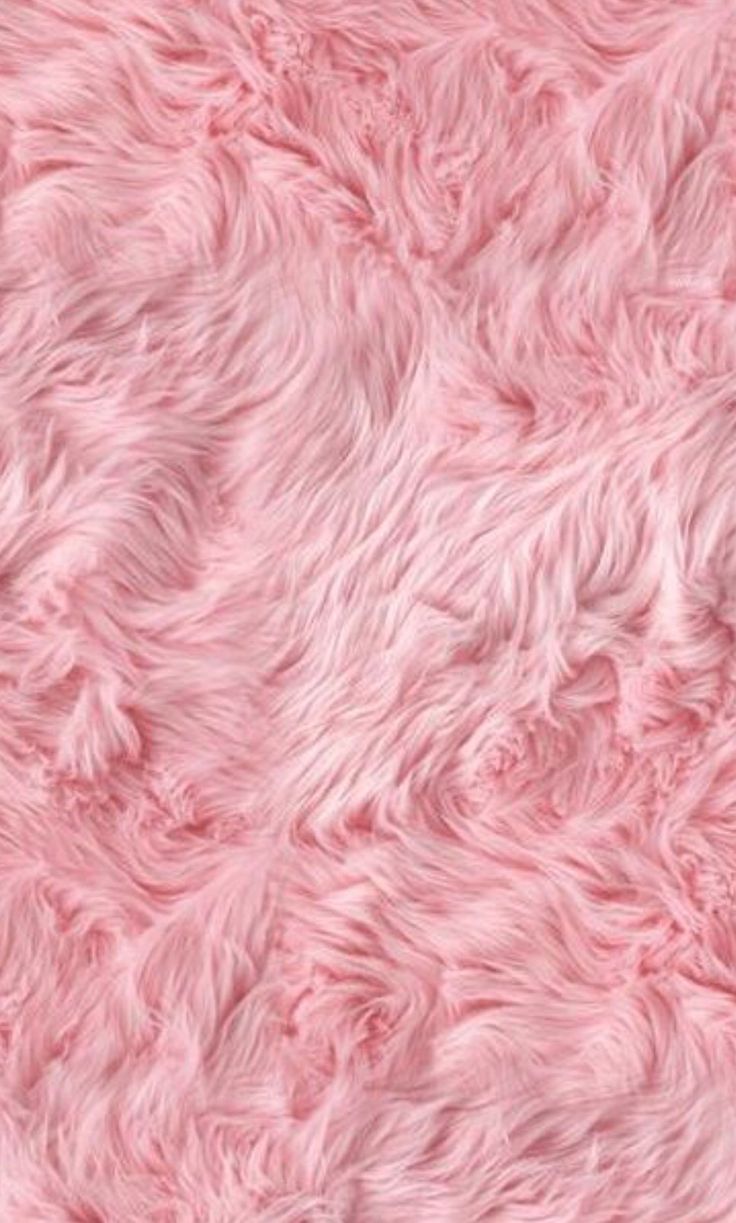 Feather Pink Wallpaper