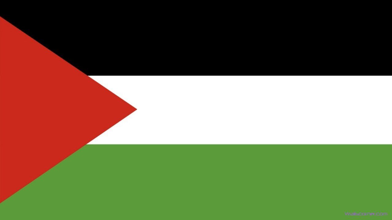 Save Palestine 2015 Wallpaper