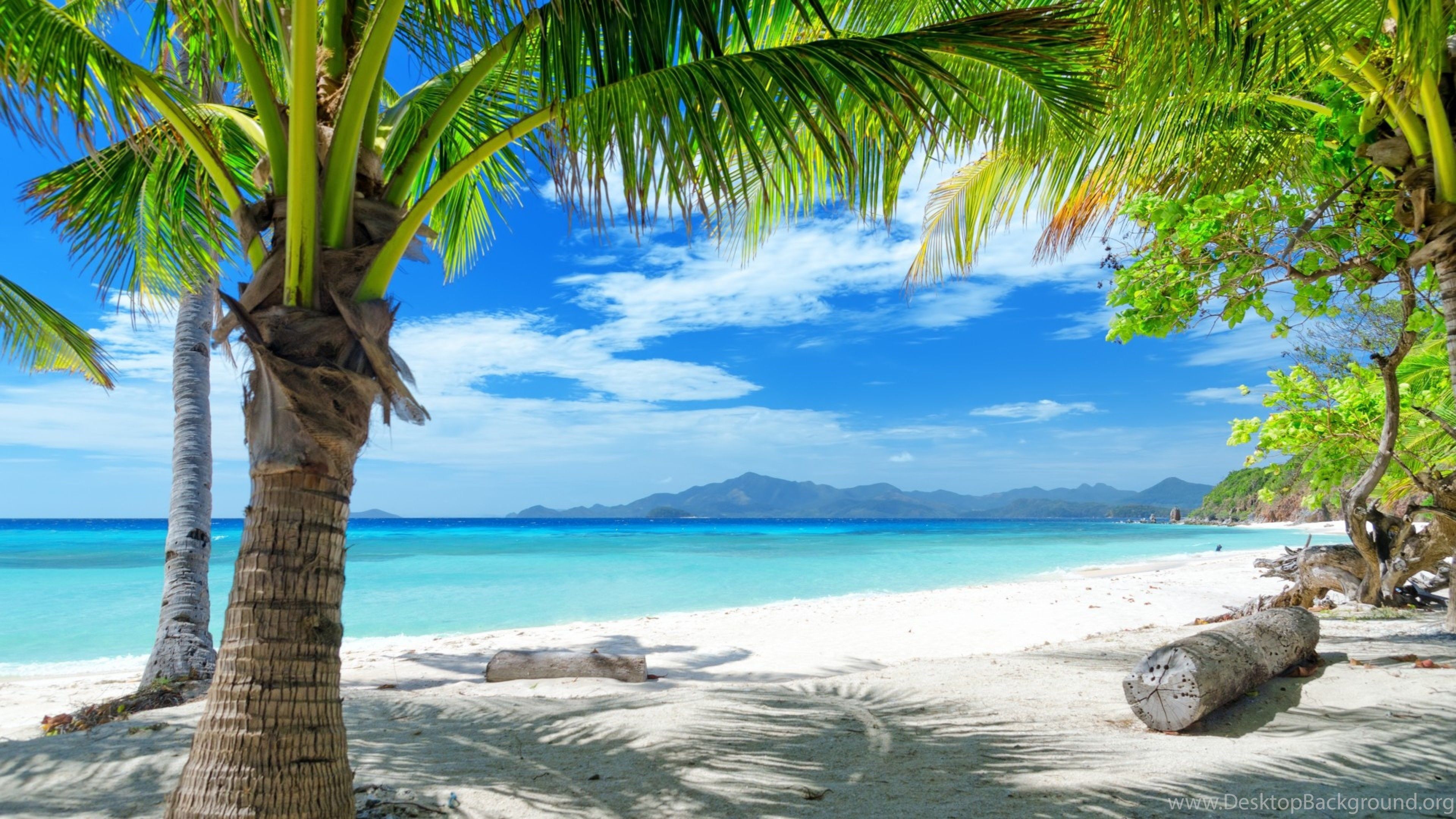 Download Wallpapers 3840x2160 Tropics, Beach, Sand, Palm Trees 4K ... Desktop Backgrounds