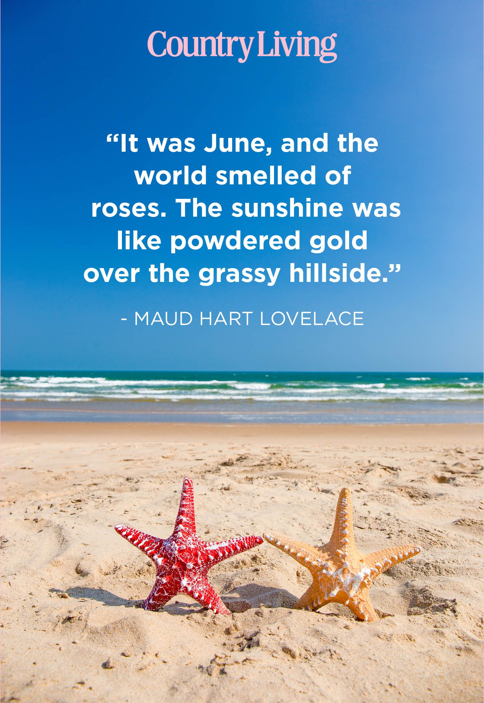 Best Summer Quotes Warm Weather Sayings