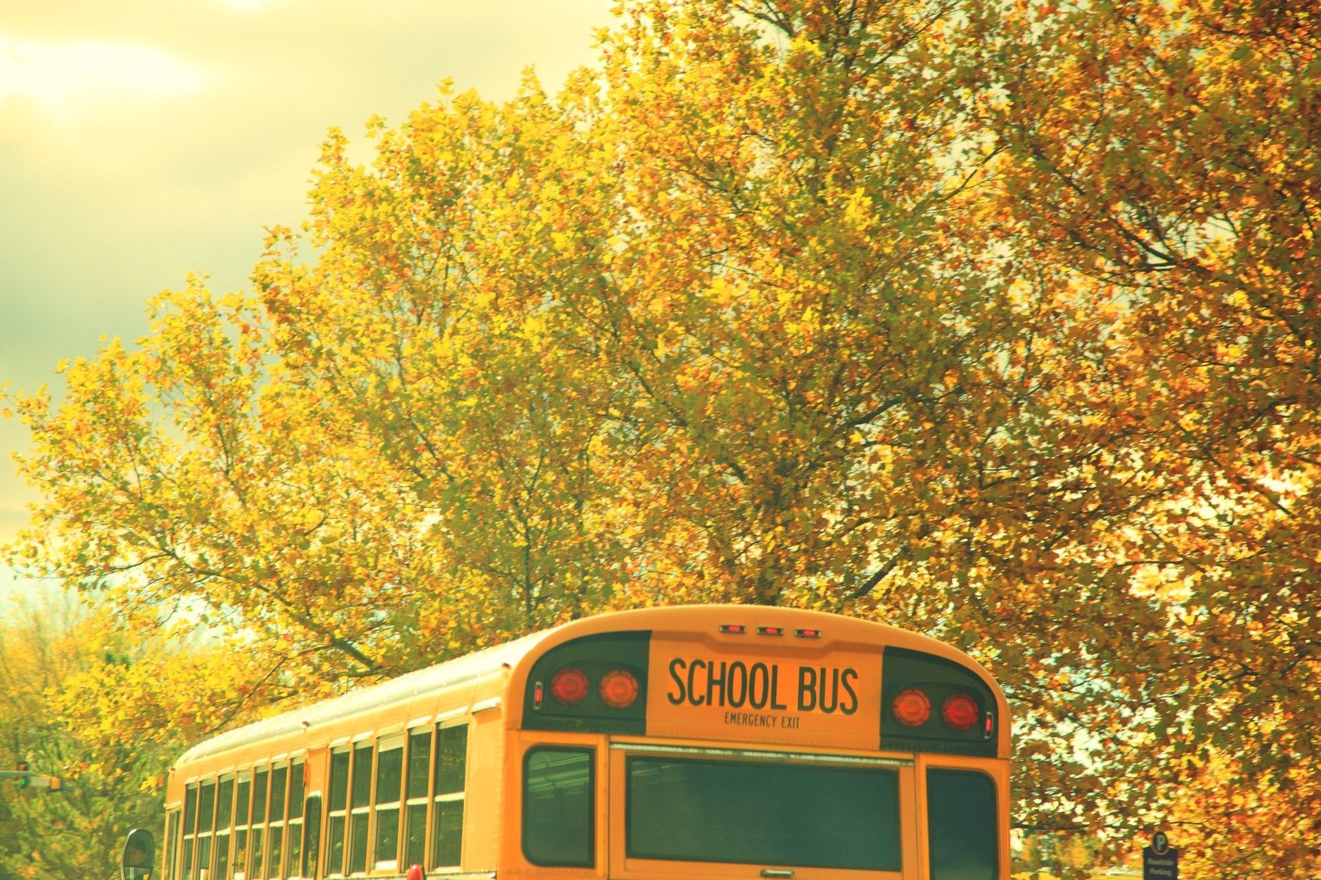 Autumn School Bus by Pink Sherbet Photography. School bus picture, Nostalgia wallpaper, School bus