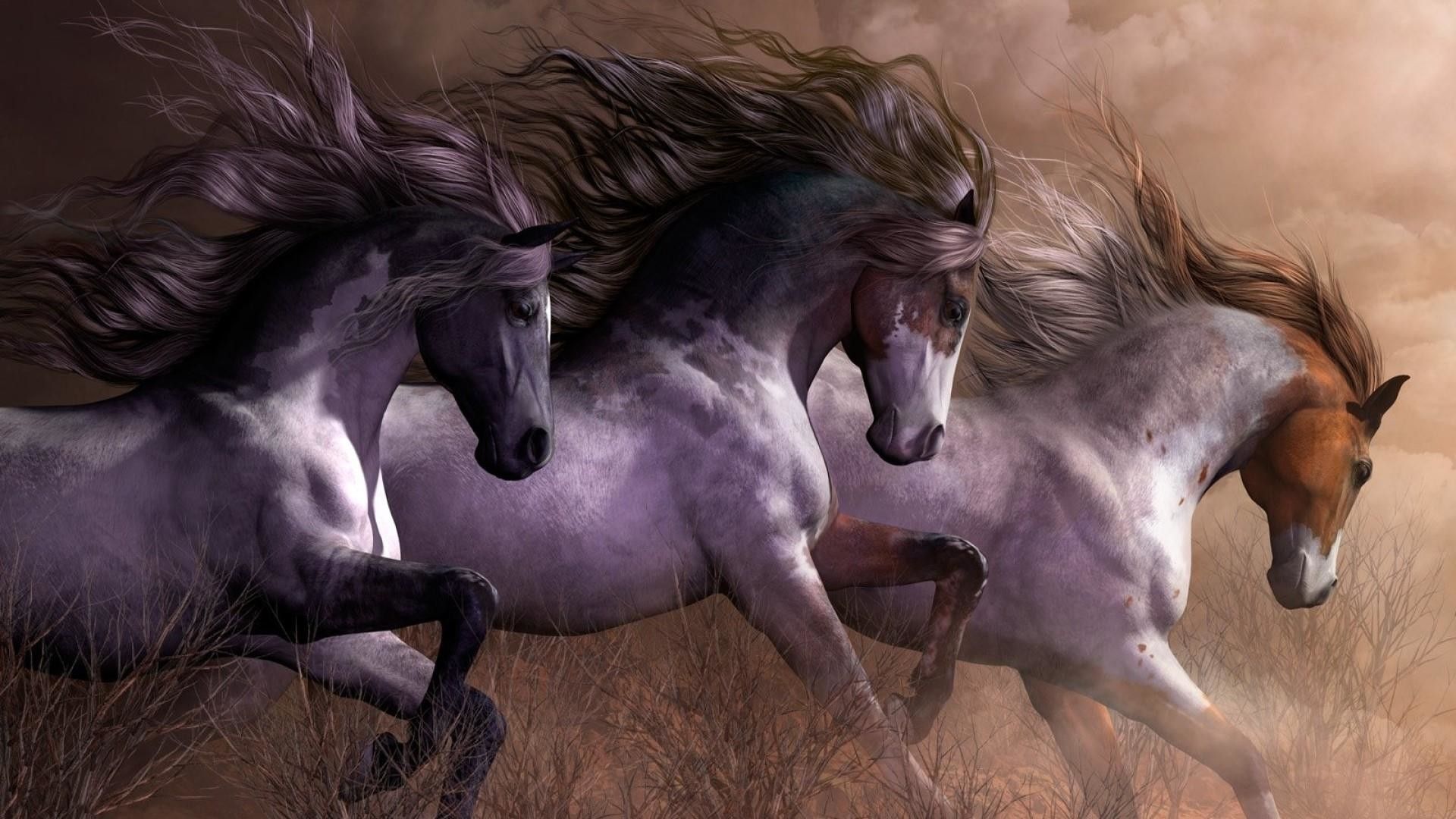 Wild Horses Wallpaper background picture