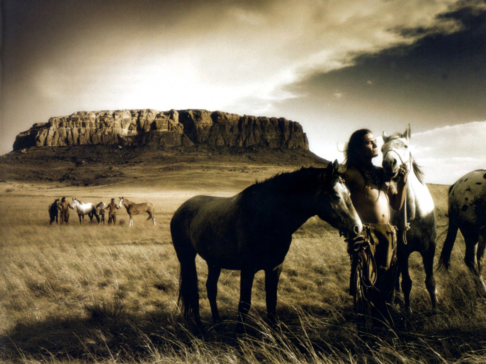 Wild Horse Wallpaper