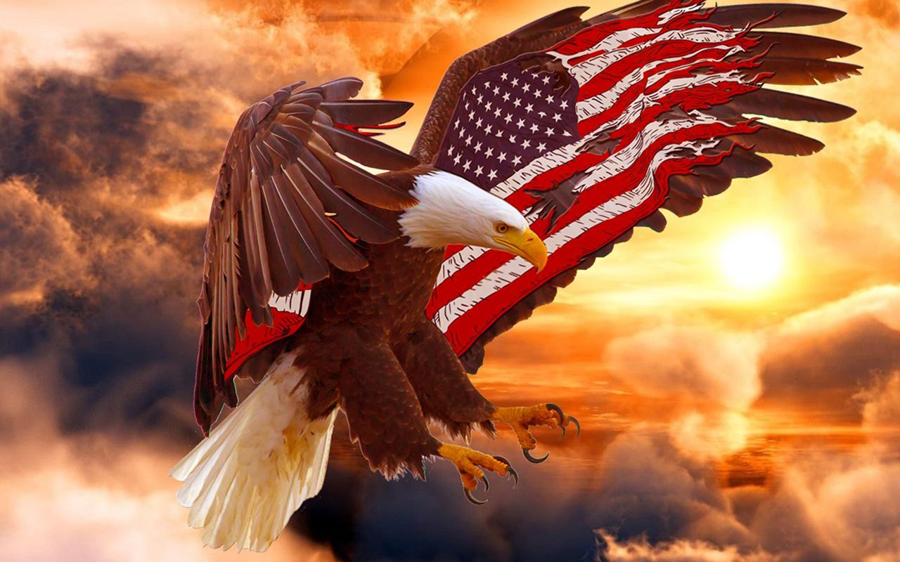 American Eagle Wallpaper Flag Bald Eagle