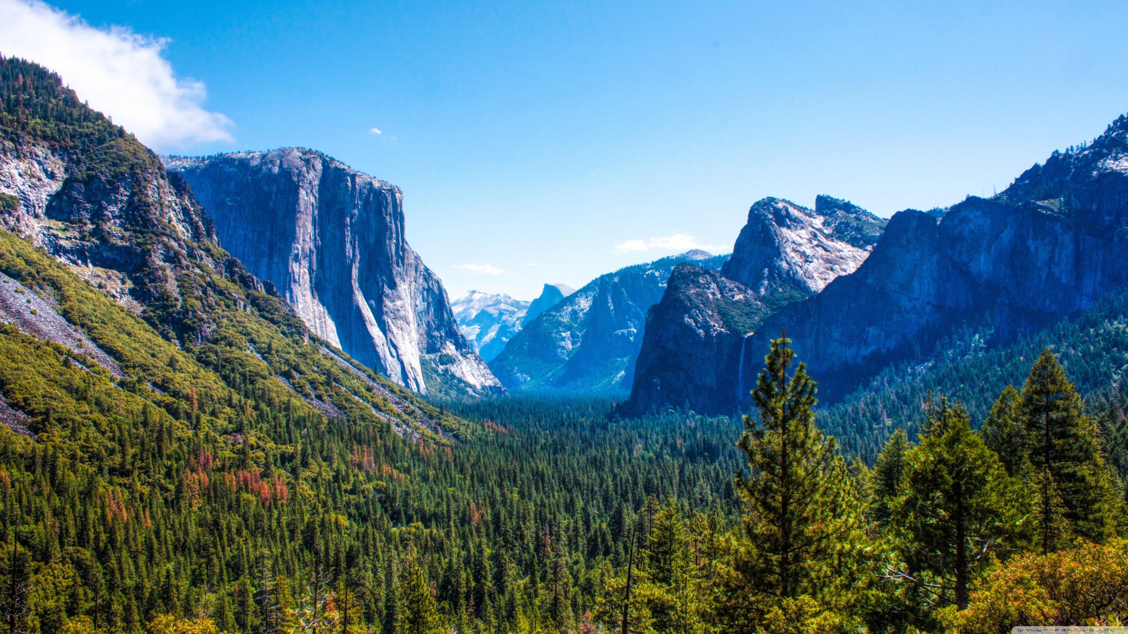 Yosemite National Park Yosemite valley Ultra HD Desktop Background Wallpaper for 4K UHD TV, Widescreen & UltraWide Desktop & Laptop, Tablet