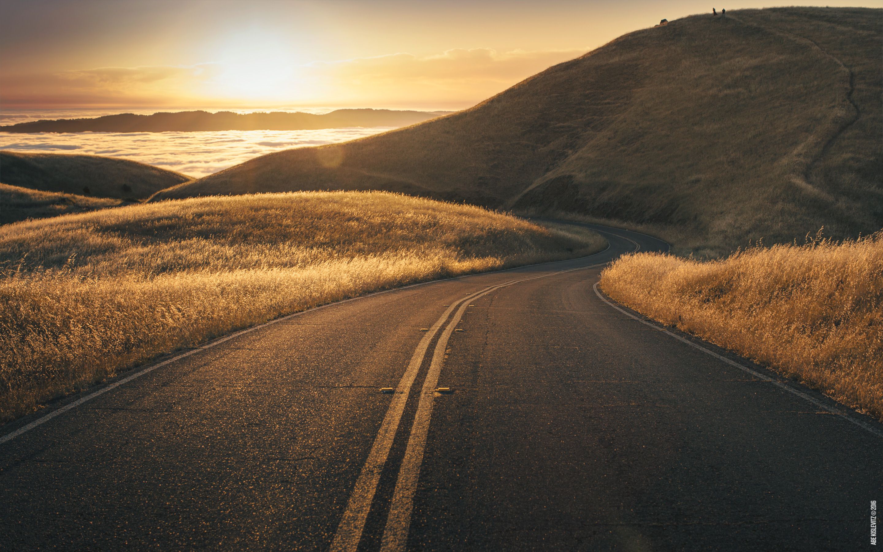 Wallpaper of the Month