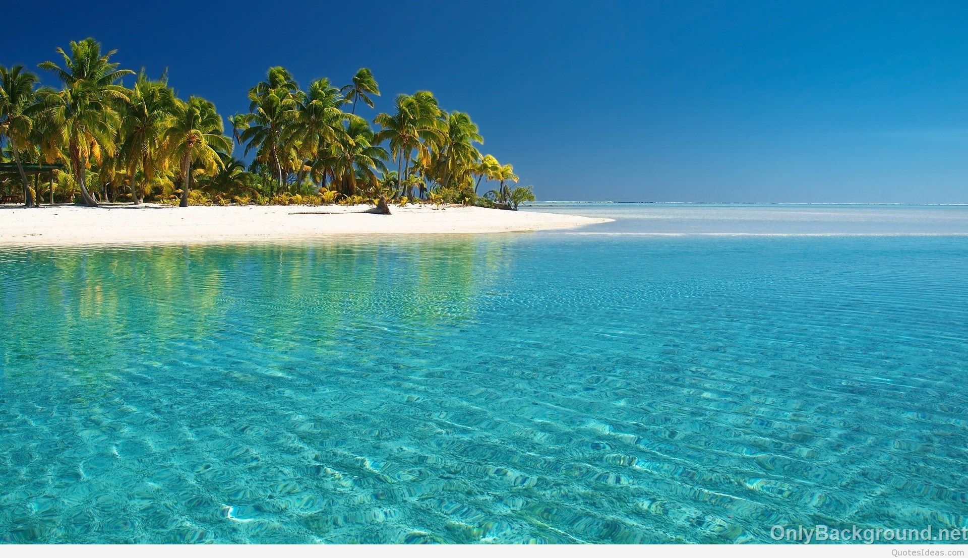 Summer wallpaper wallpaper Collections