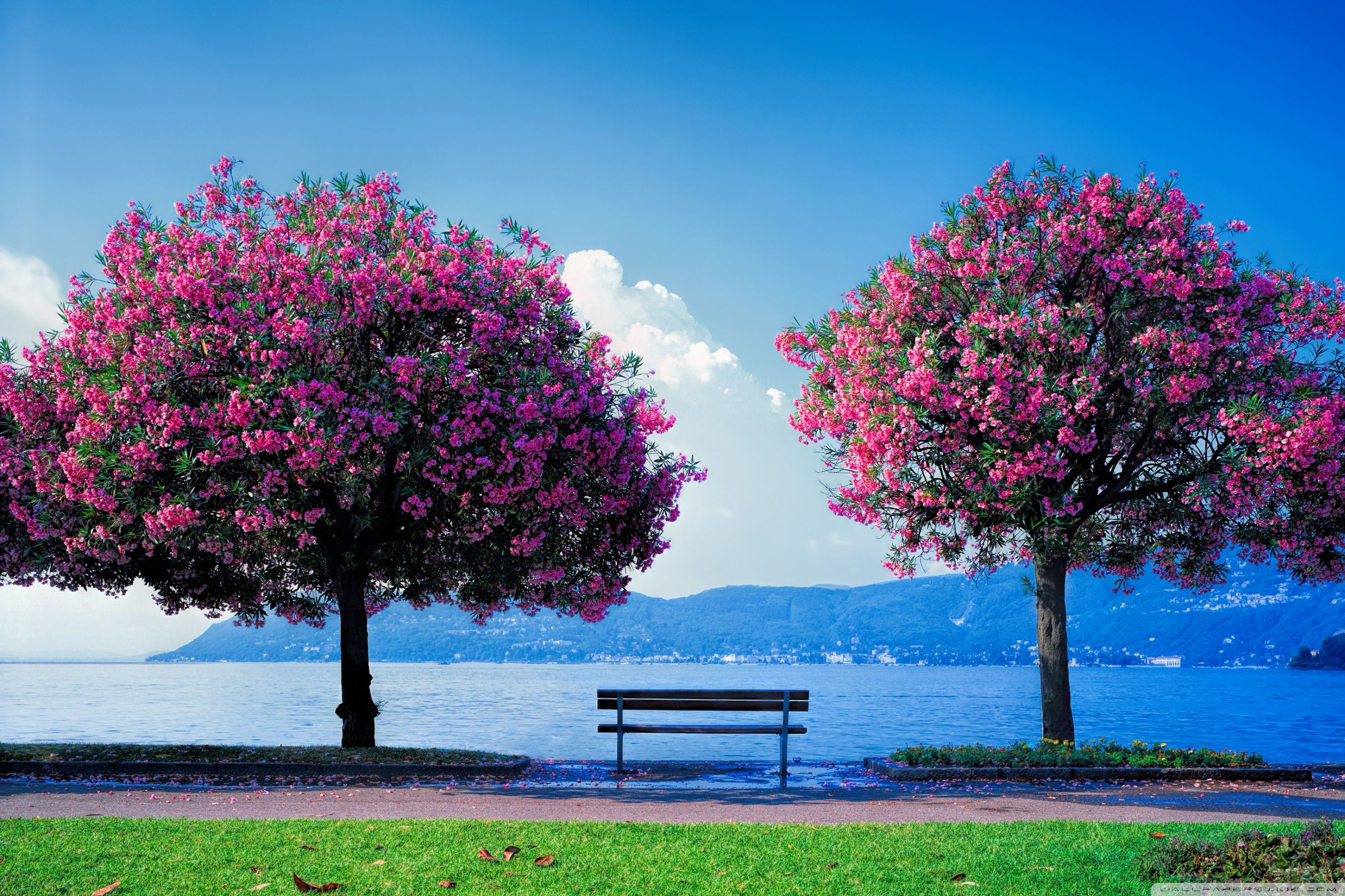 Spring Fishing Ultra HD Desktop Background Wallpaper for: Multi Display, Dual Monitor, Tablet