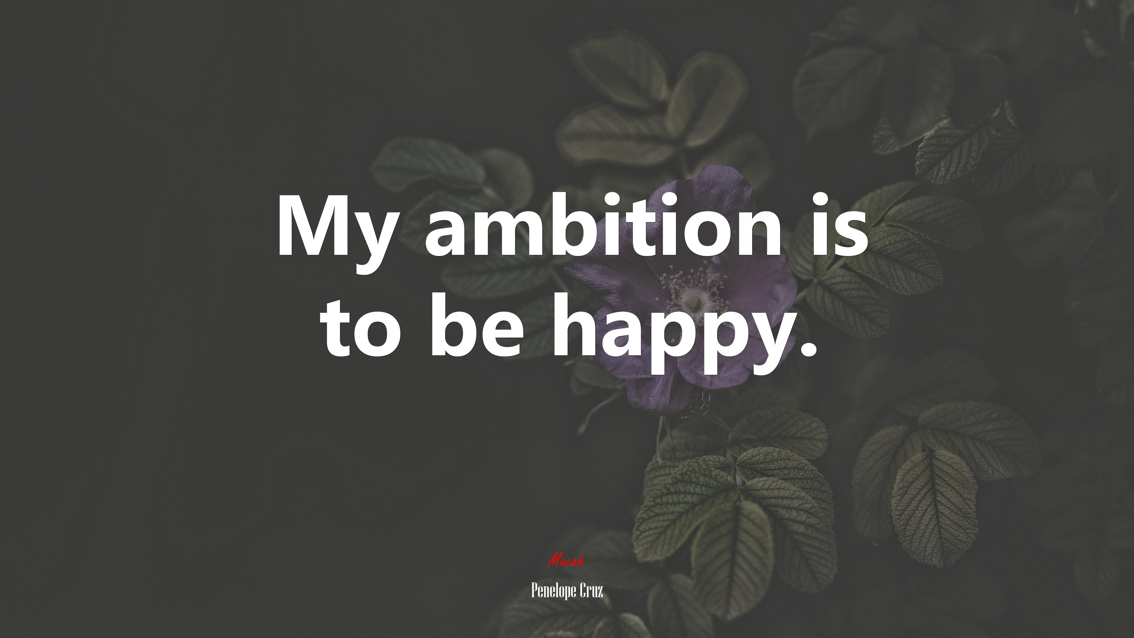 Penelope Cruz On Bike 4k wallpaper. Mocah HD Wallpaper