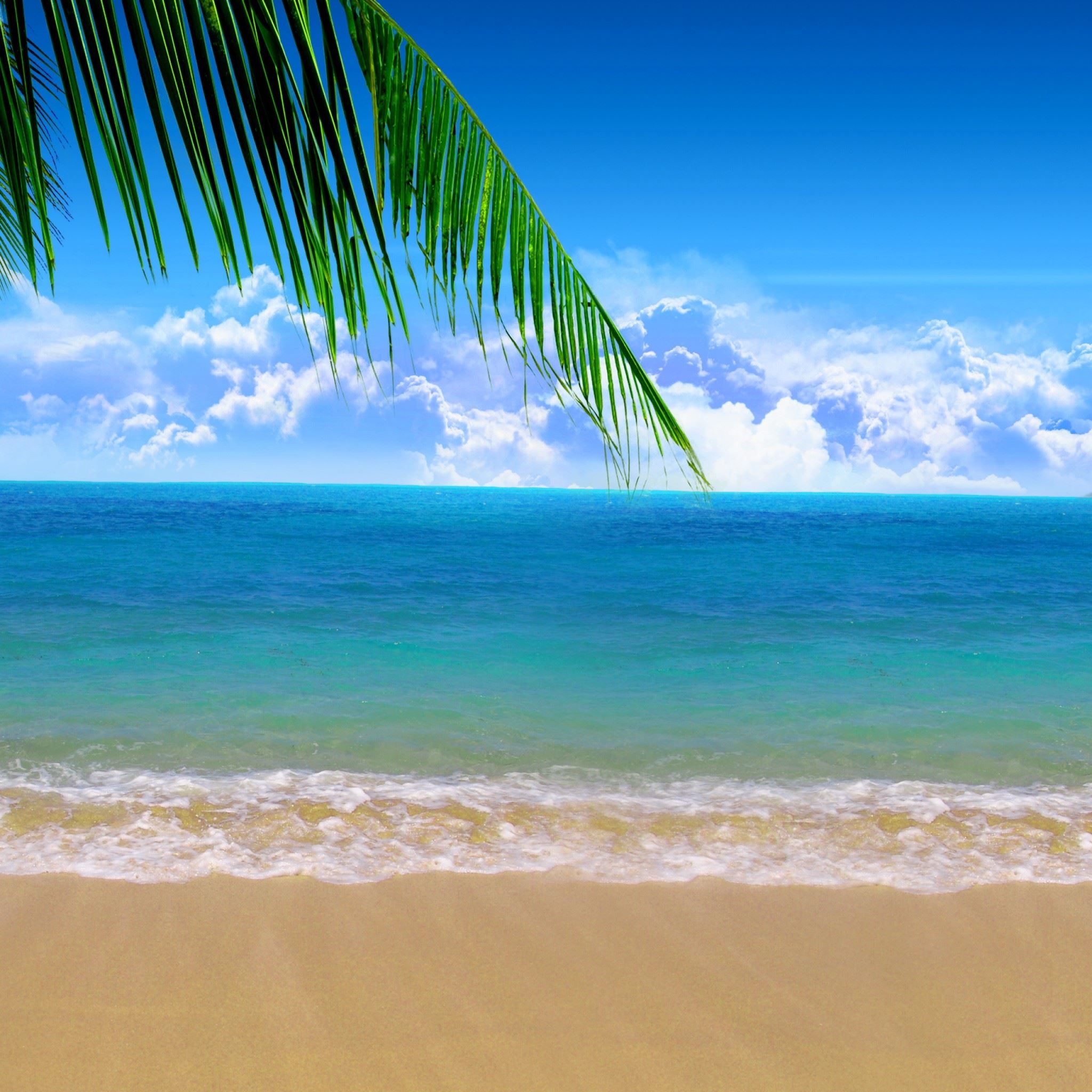 Summer Beach iPad Air Wallpaper Free Download