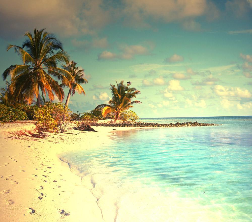 Summer Beach Wallpaper for Android