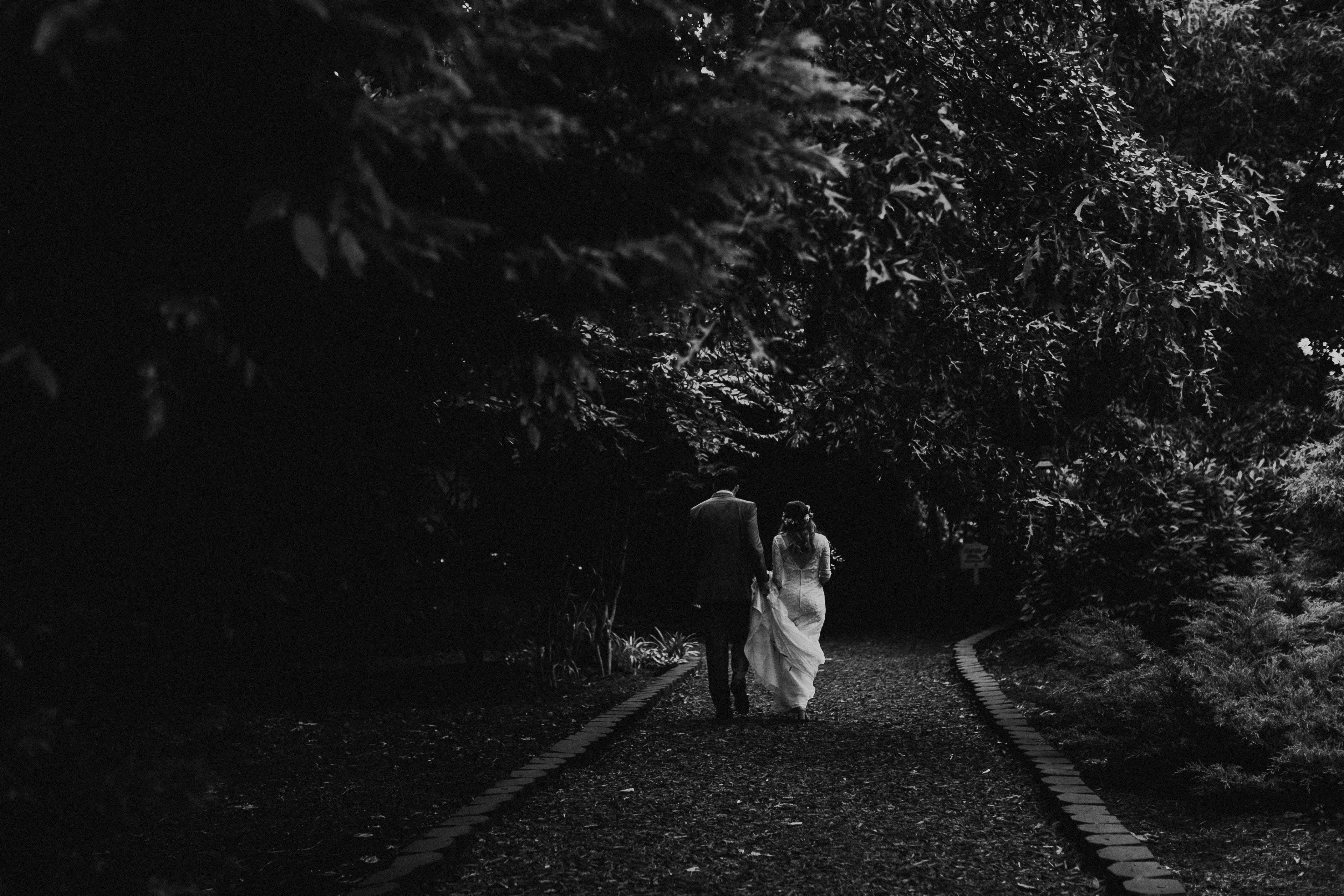 Wallpaper / a married couple walking down a forest path, _into the unknown 4k wallpaper