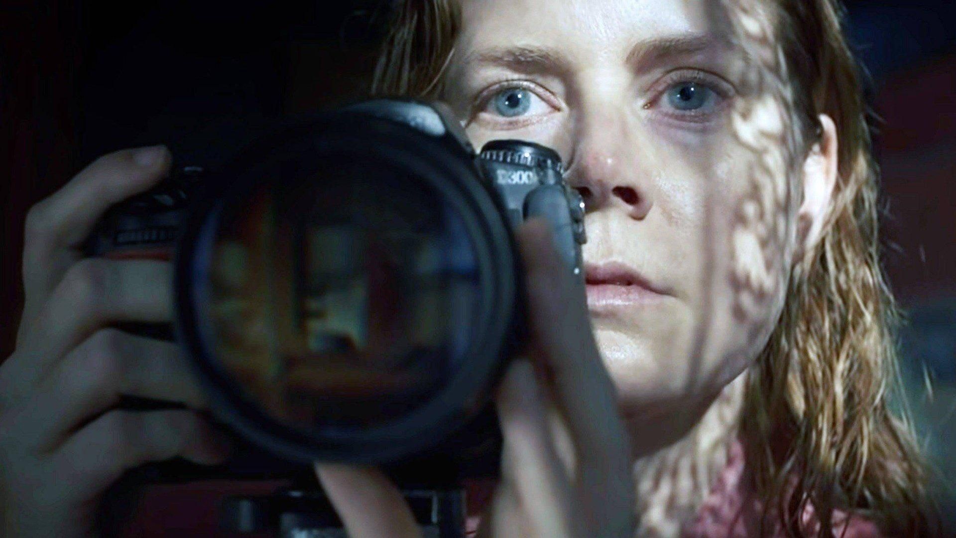 The Woman in the Window