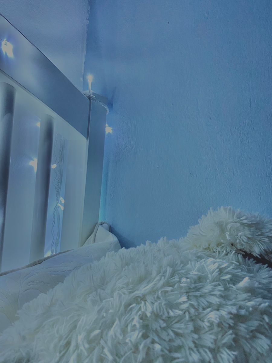 Glaucous Wallpapers - Wallpaper Cave