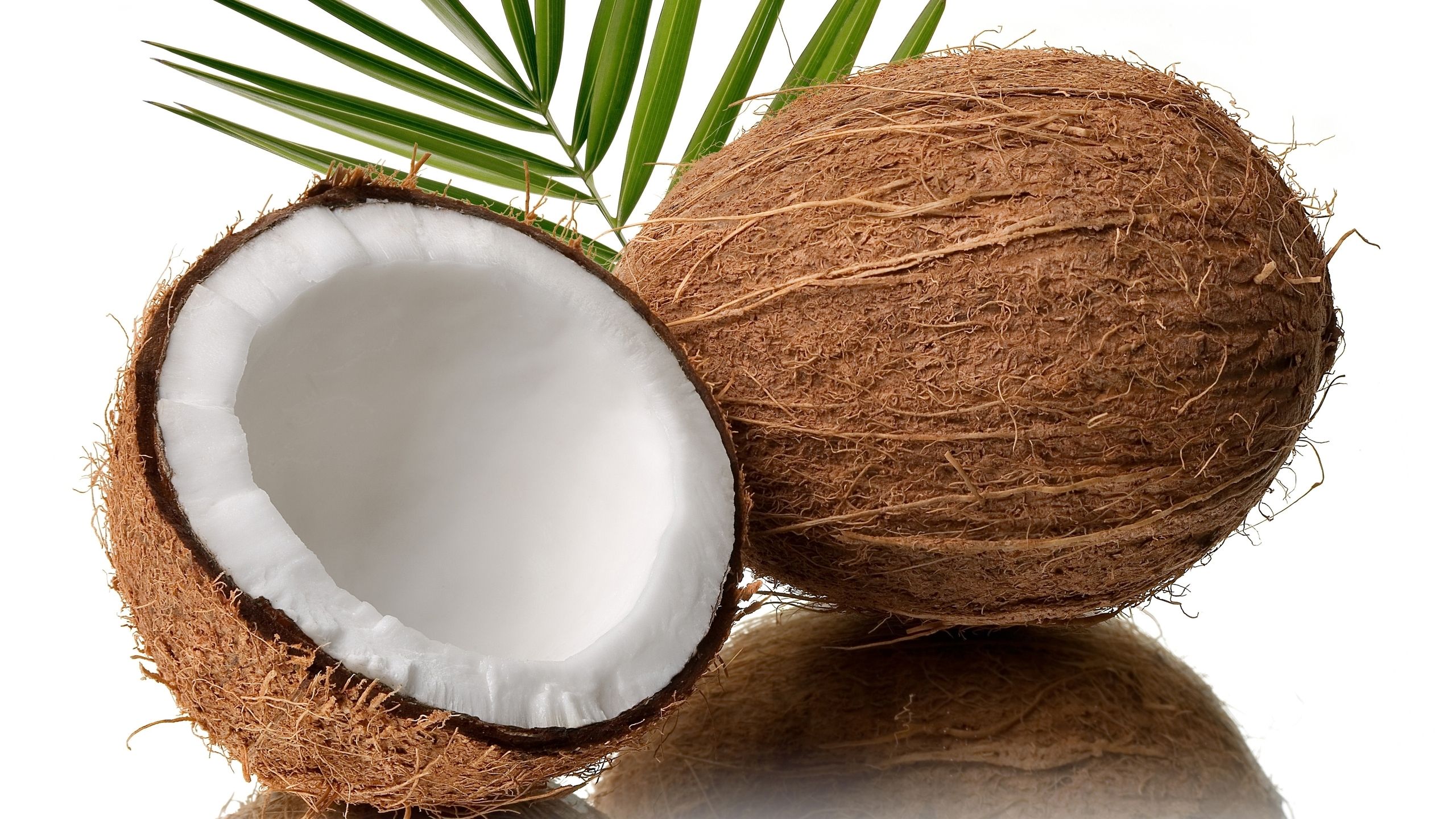 Coconut Picture wallpaperx1440