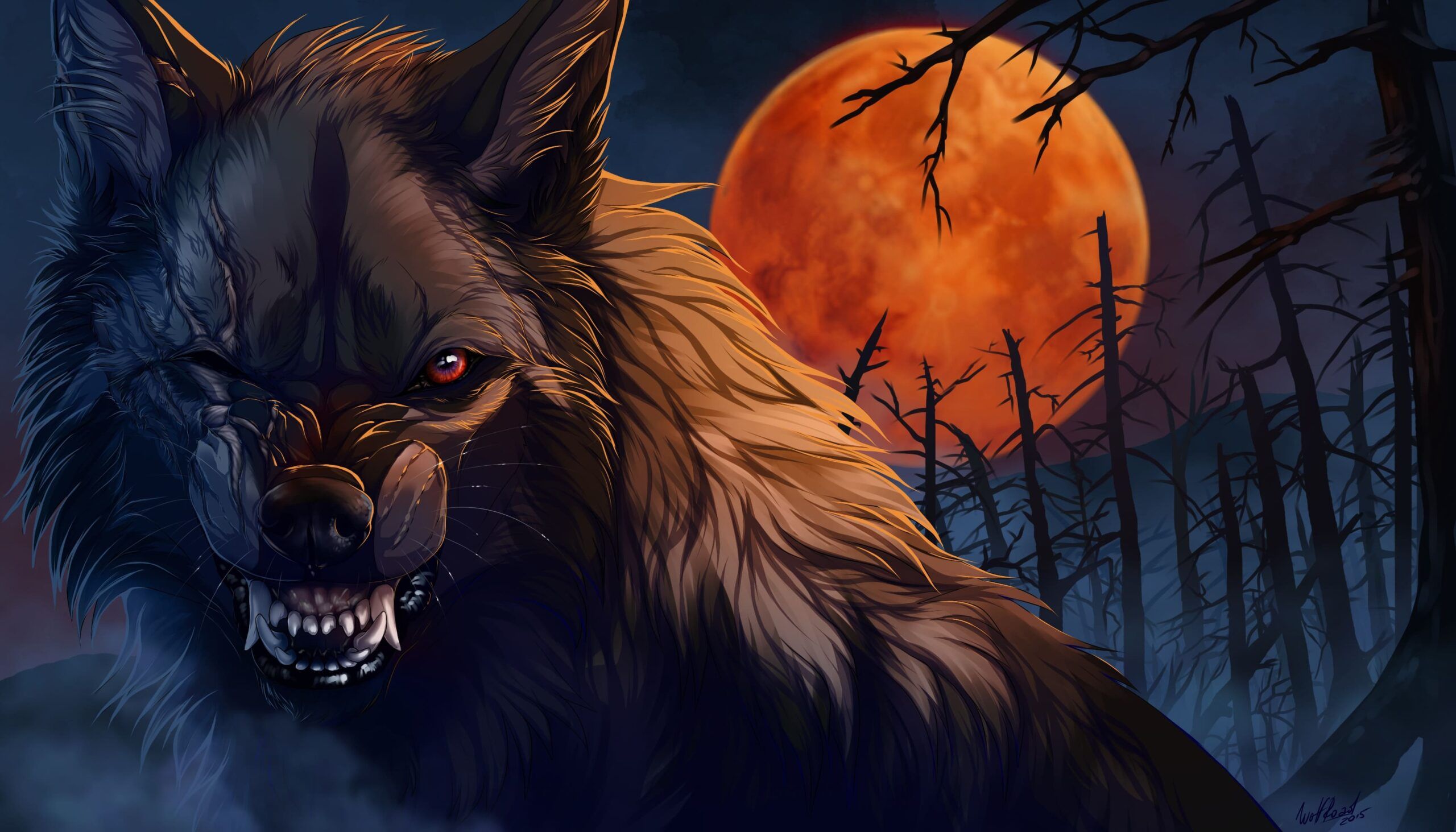 Wolf Pc Wallpaper Best Pc Wallpaper Download