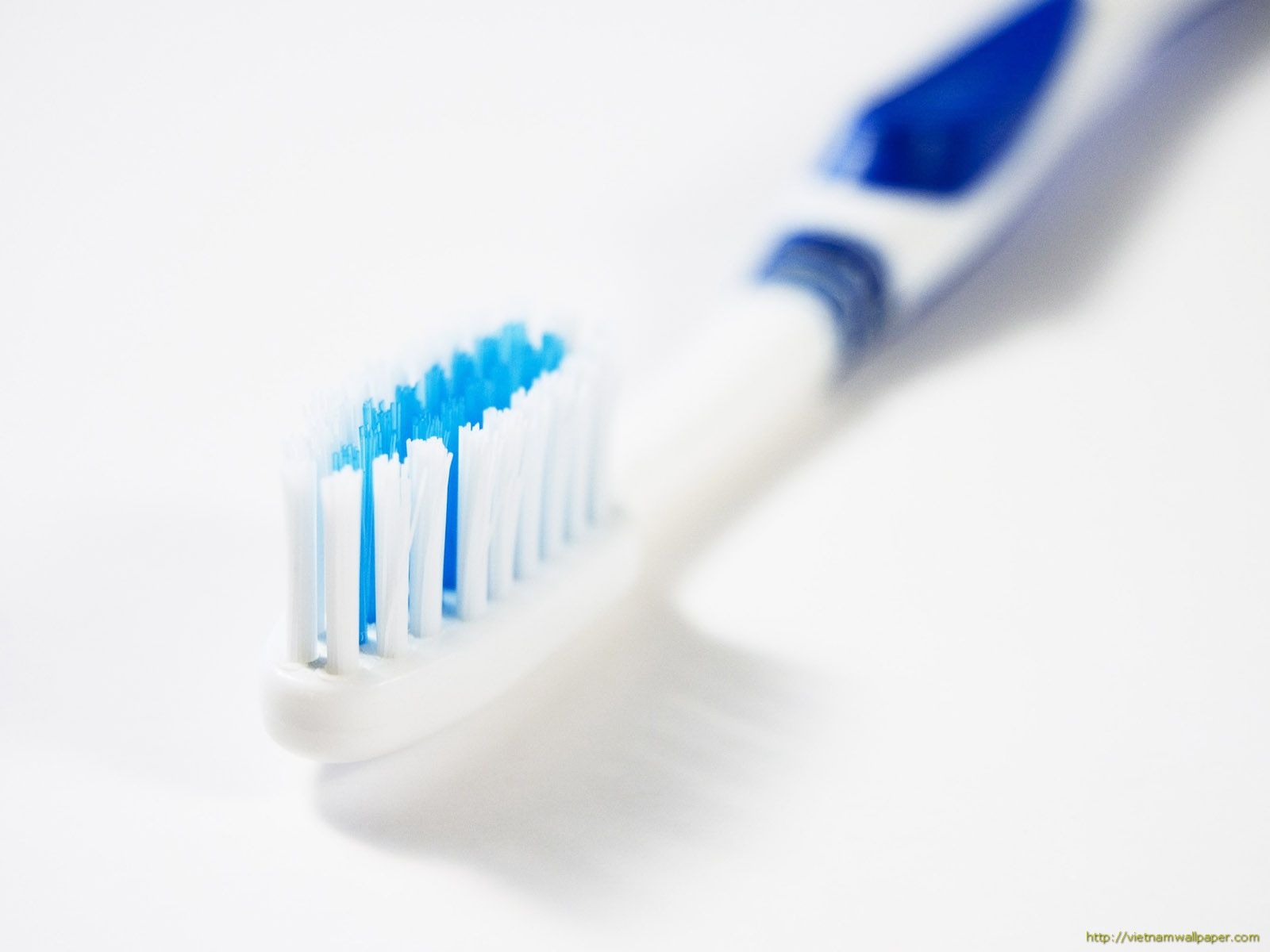 Free download Tooth Brush Wallpaper A Tooth Brush Photo A Tooth Brush Picture [1600x1200] for your Desktop, Mobile & Tablet. Explore Teeth Wallpaper. Rooster Teeth Wallpaper, Tooth Desktop Wallpaper