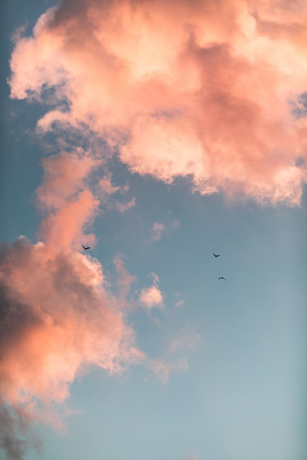 Cotton Candy Clouds Picture. Download Free Image