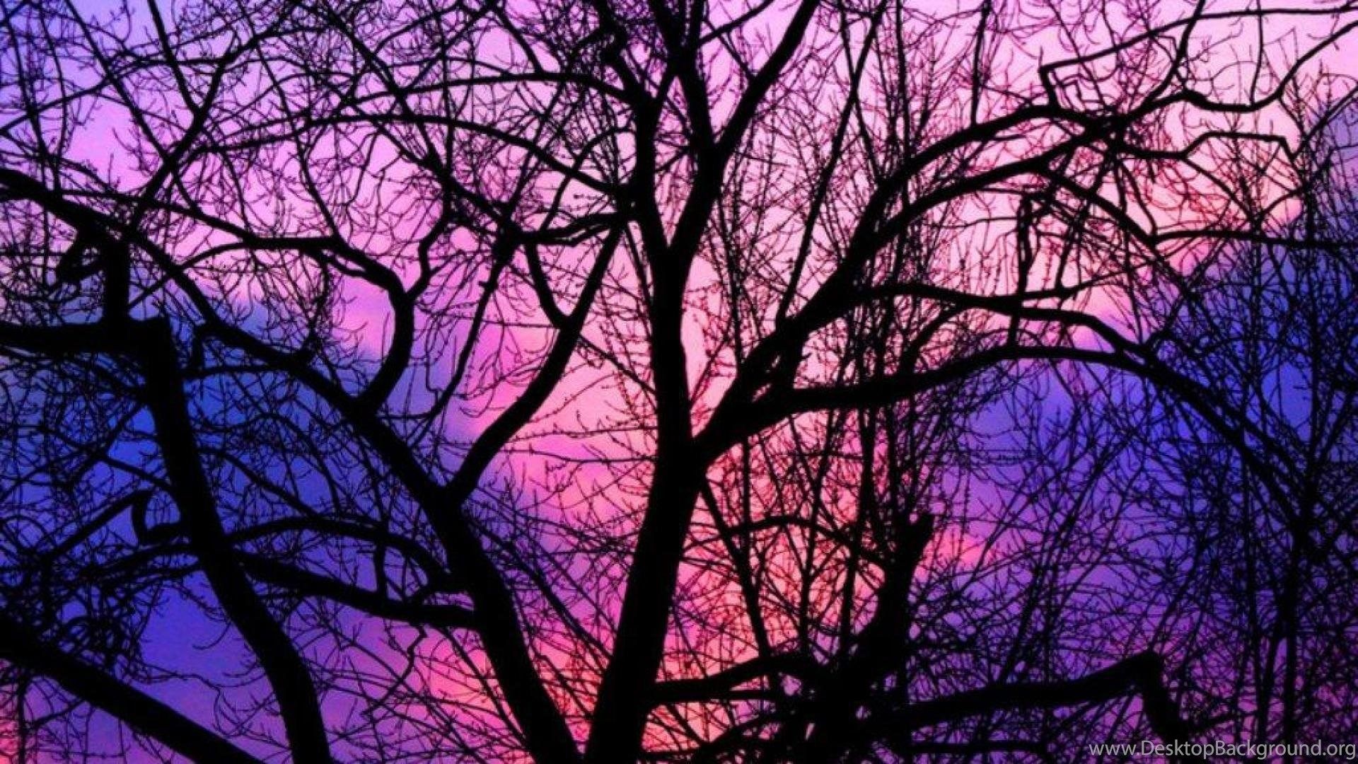 Cotton Candy Clouds Wallpaper Desktop Background