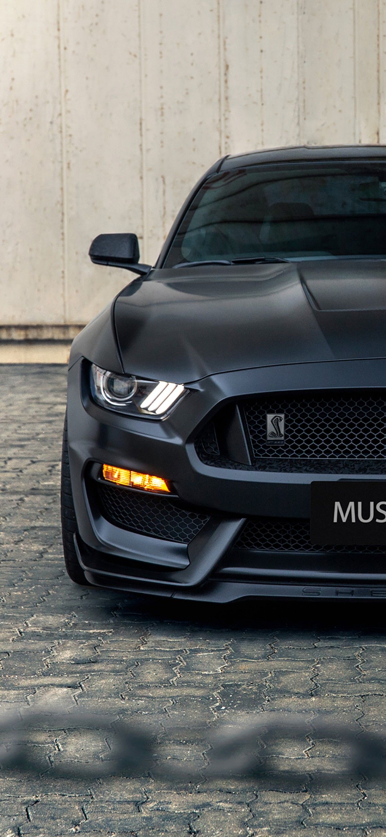 Ford Mustang Shelby GT350 4K Wallpaper, Black, Black Dark