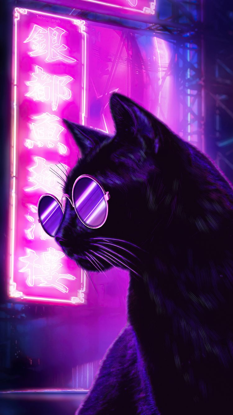 Cat Glasses Neon Purple Nights 4k iPhone iPhone 6S, iPhone 7 HD 4k Wallpaper, Image, Background, Photo and Picture