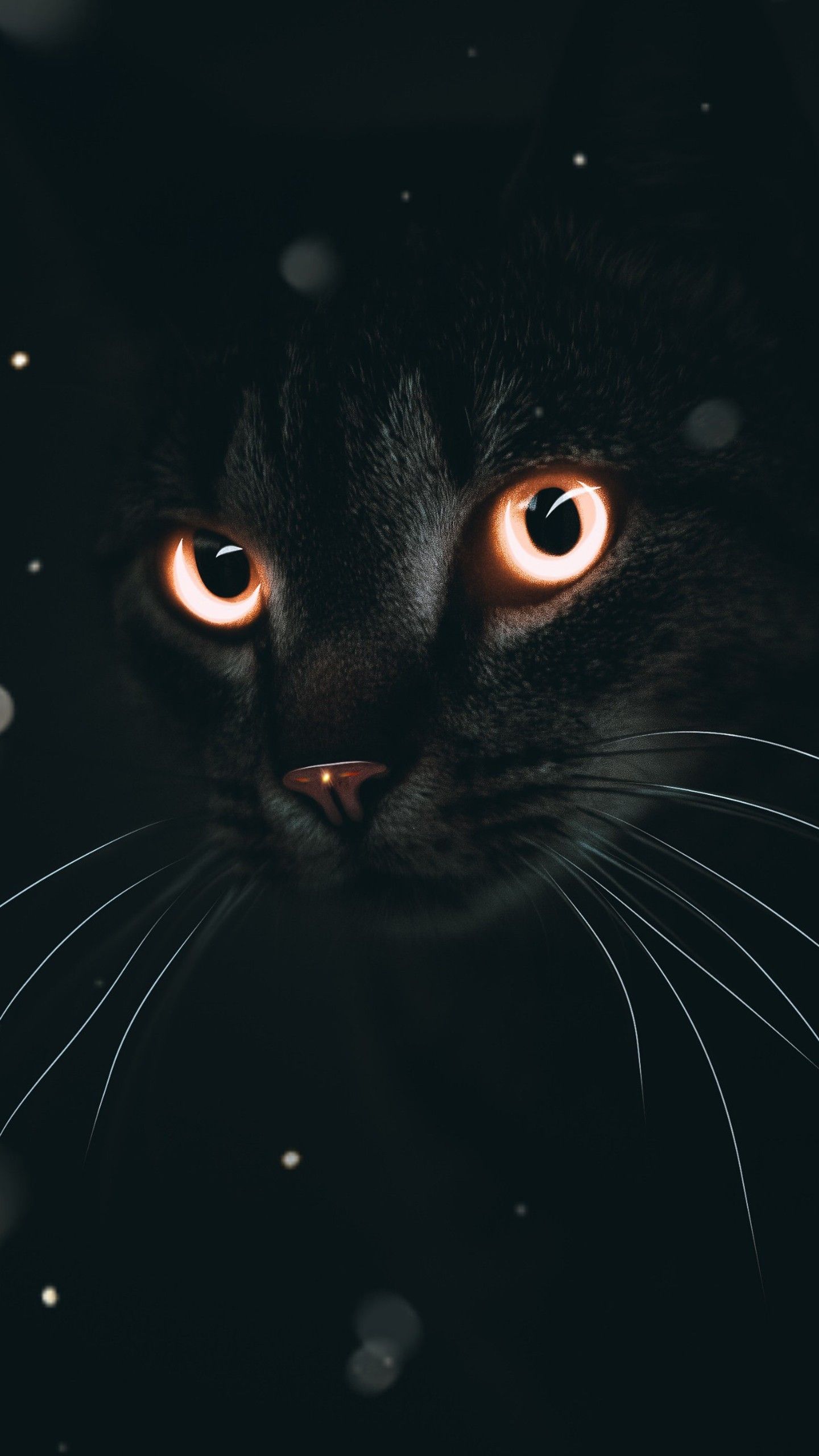 Dark Cat 4K Wallpaper