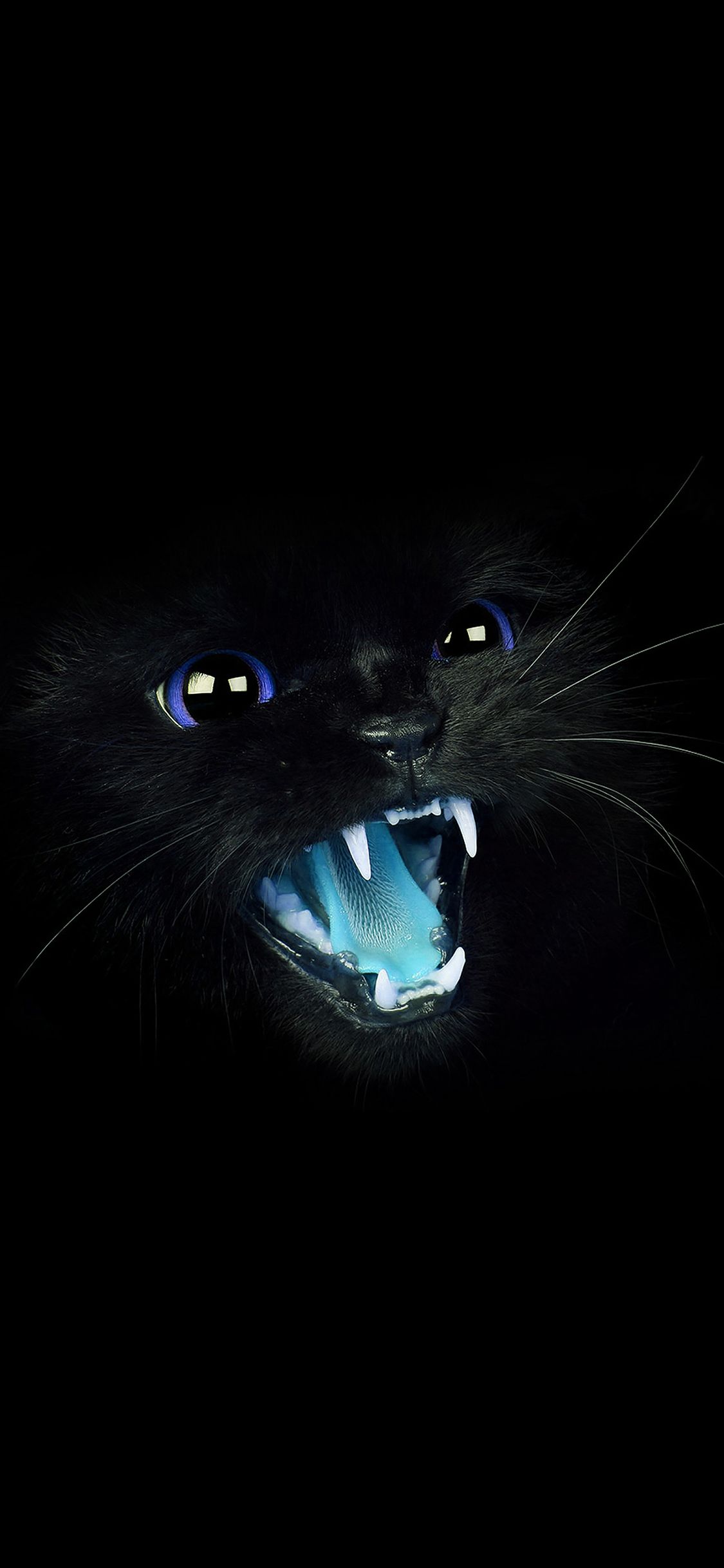 iPhoneXpapers cat blue eye roar animal cute