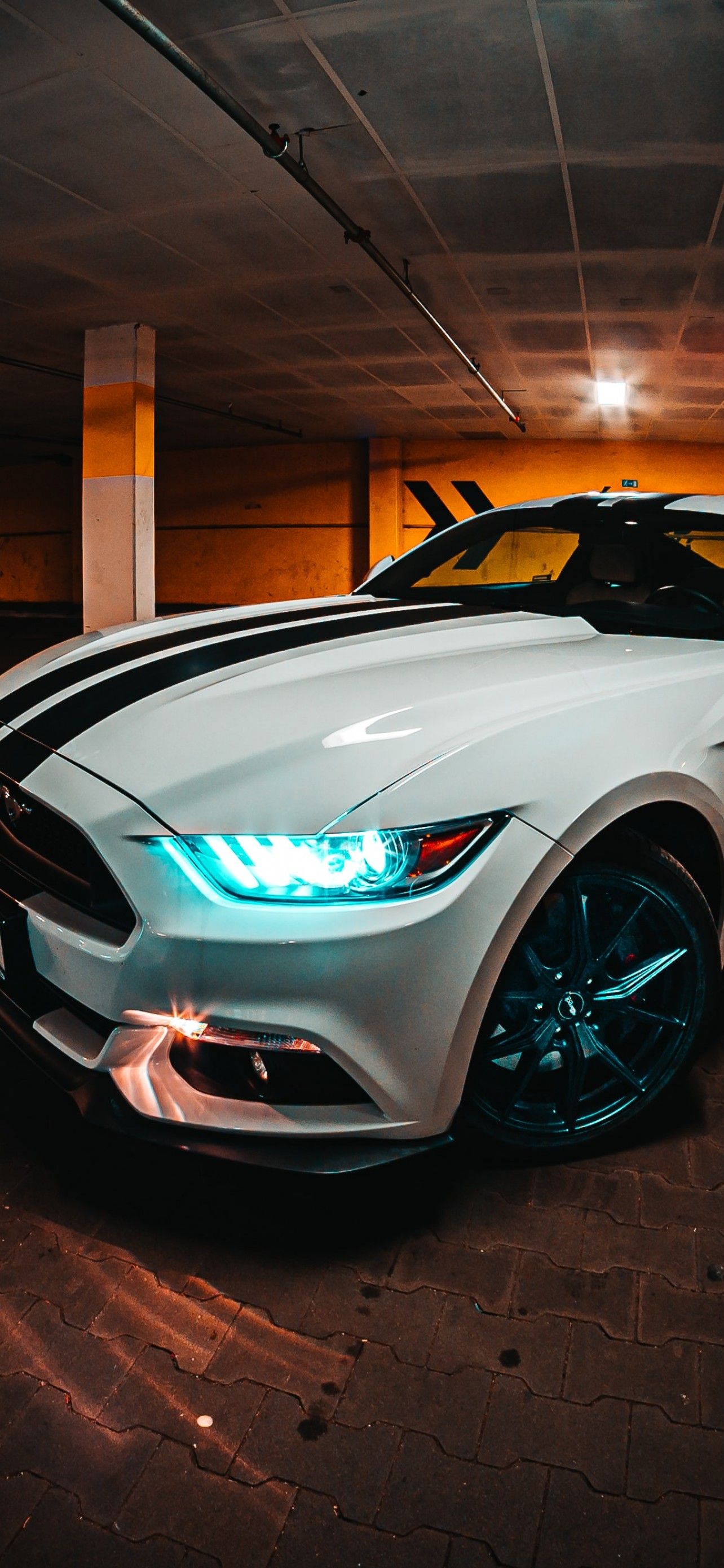 Ford Mustang 4K Wallpaper, Night, Cellar, Cars