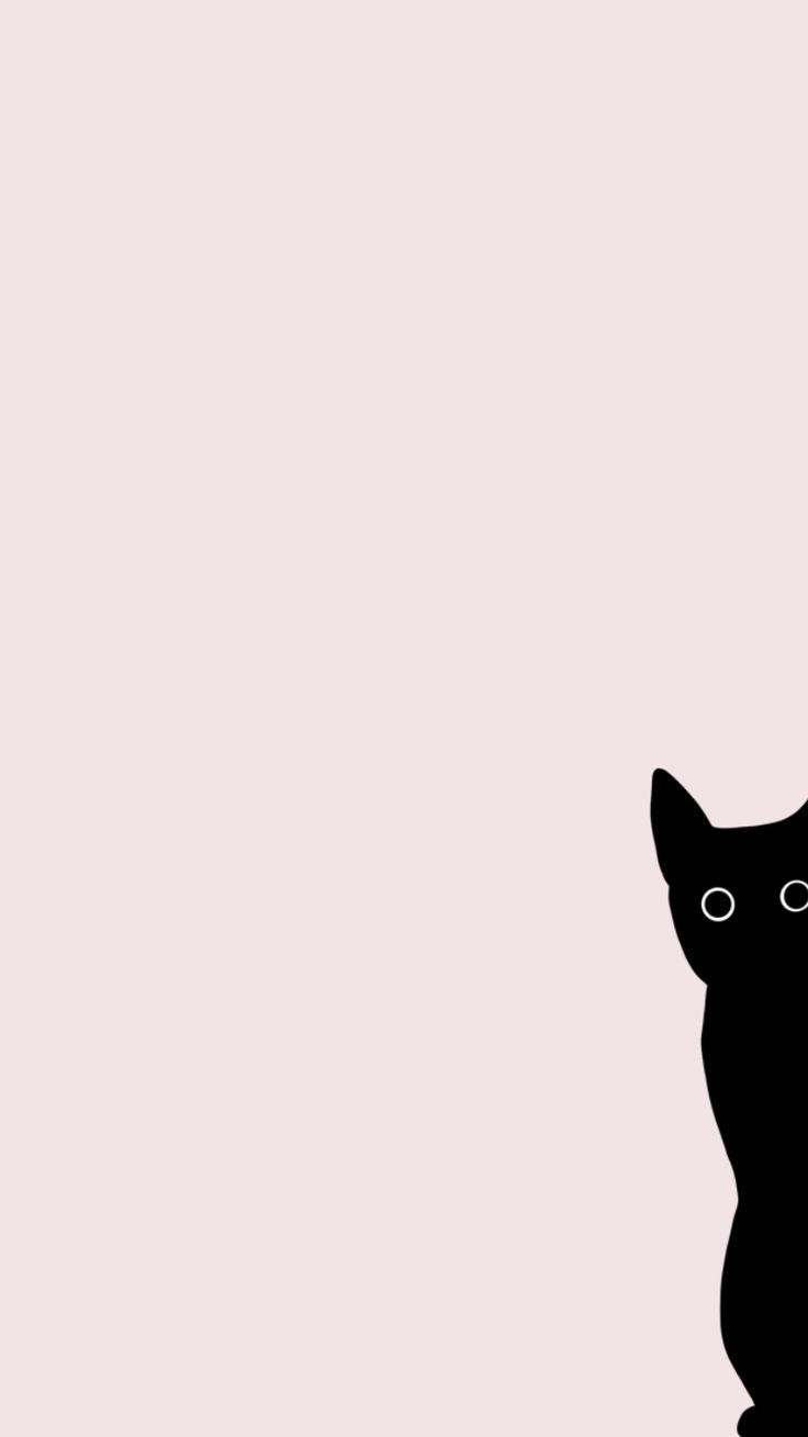 black cat cute funny pink free iphone background wallpaper Pro iPad Pro for Full HD 4K of Wallpaper for Andriod