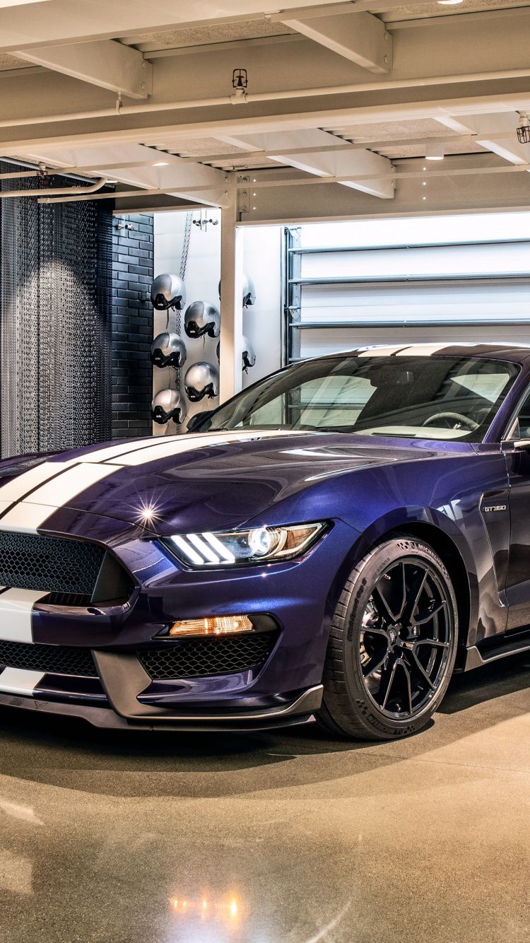 Download Ford Mustang Shelby GT350, sprots car, 2019 wallpaper, 750x1334, iphone 7, iPhone 8