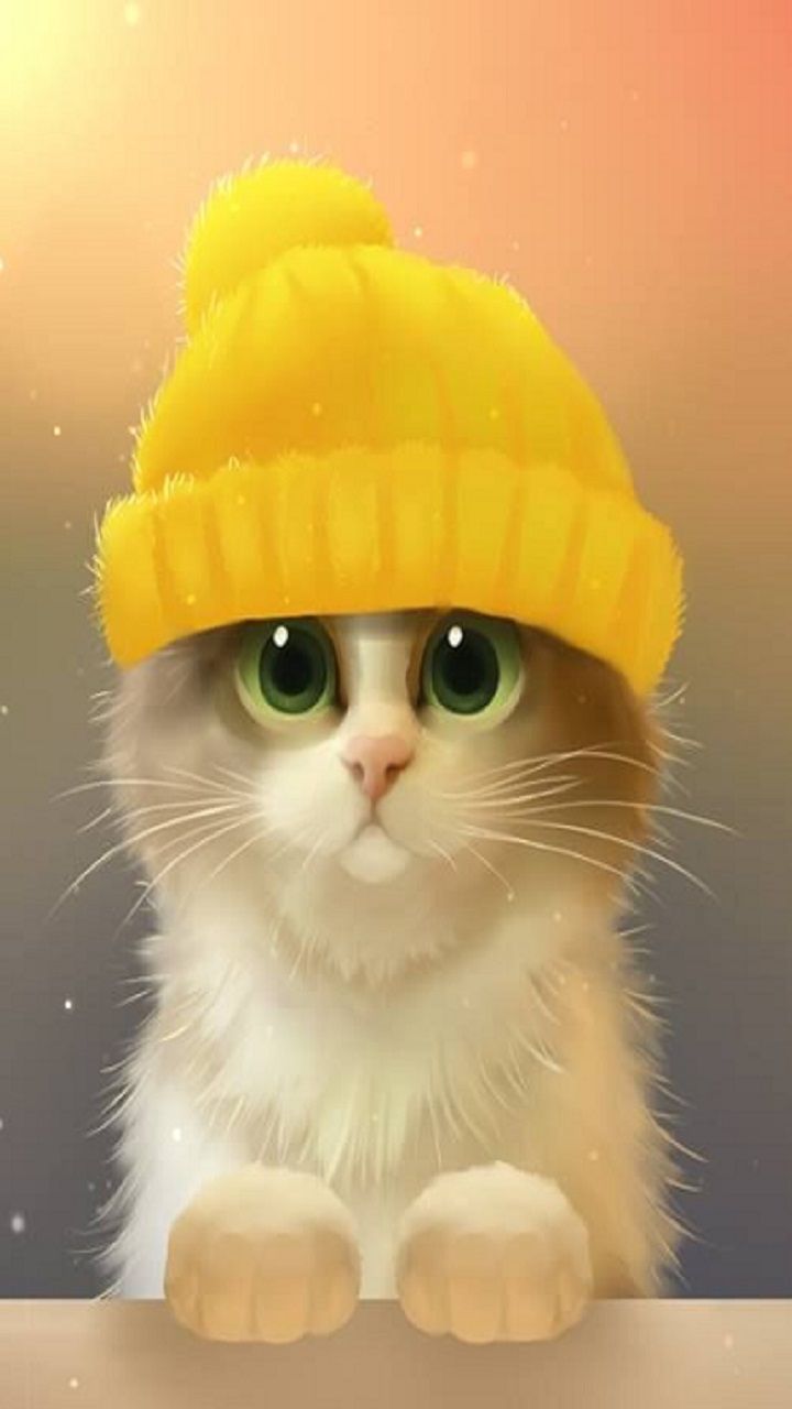 Cat iPhone Wallpaper { 4k & HD }