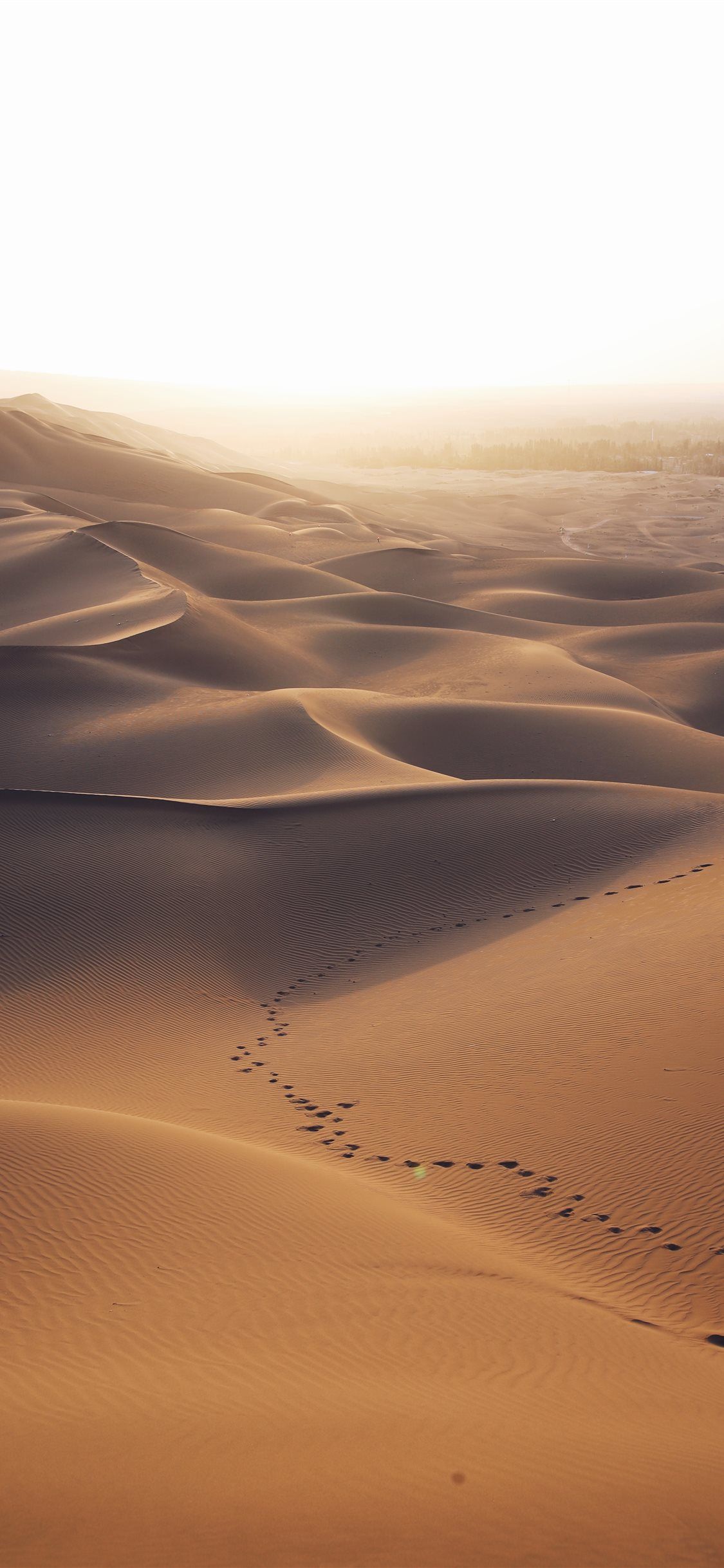 aerial photo of brown desert Wallpaper. iPhone wallpaper landscape, Desert wallpaper, Aesthetic wallpaper landscape