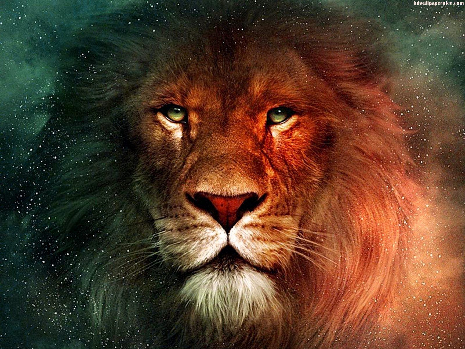 Lion Fantasy HD Wallpaper