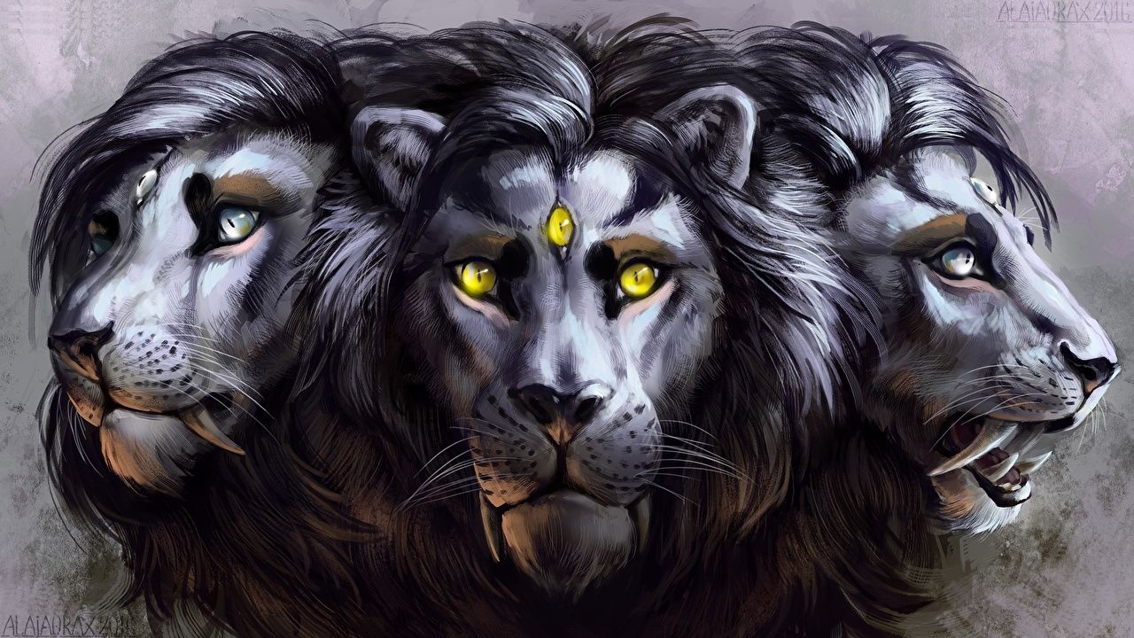 Desktop Wallpaper lion Fantasy Three 3 Magical animals Head