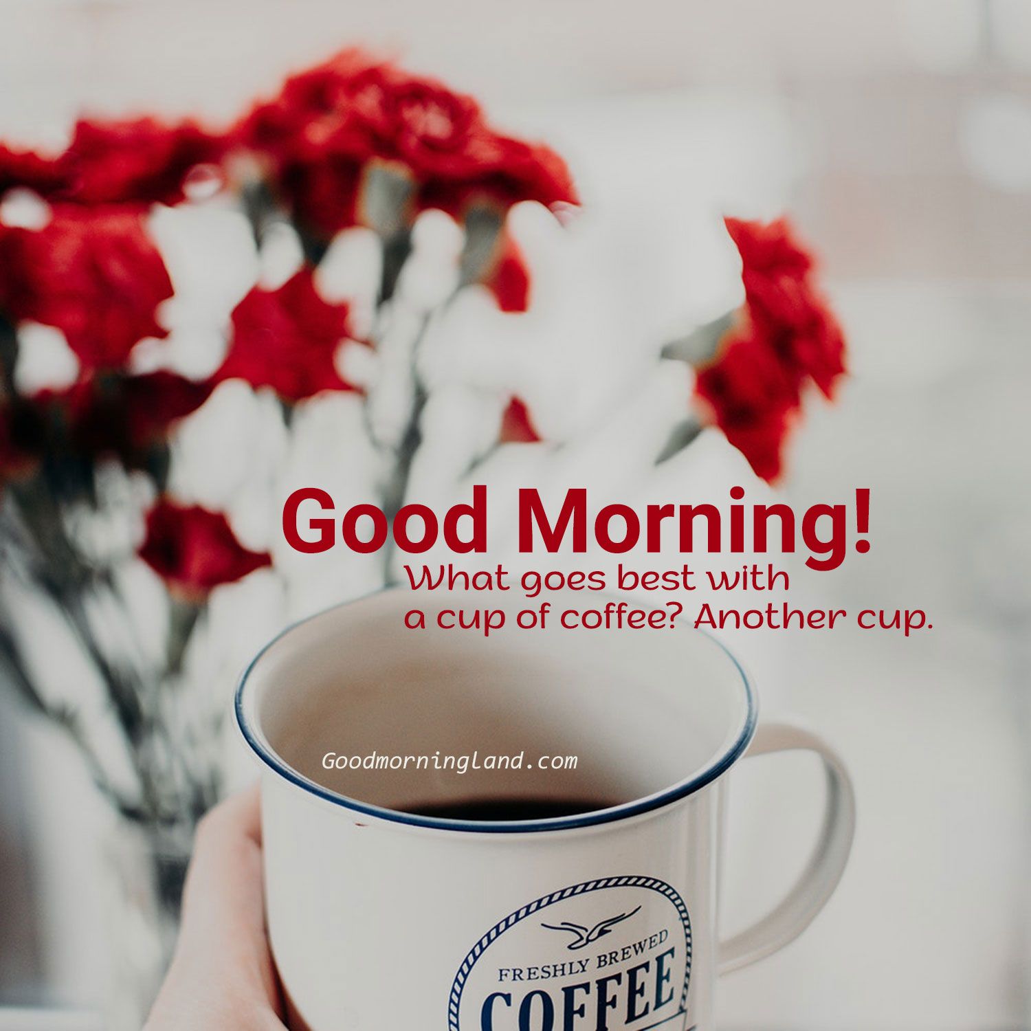 Send your Girlfriend beautiful good morning coffee image Morning Image, Quotes, Wishes, Messages, greetings & eCards