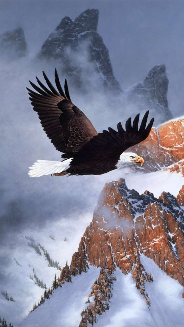 Eagle iPhone 4k Wallpapers - Wallpaper Cave