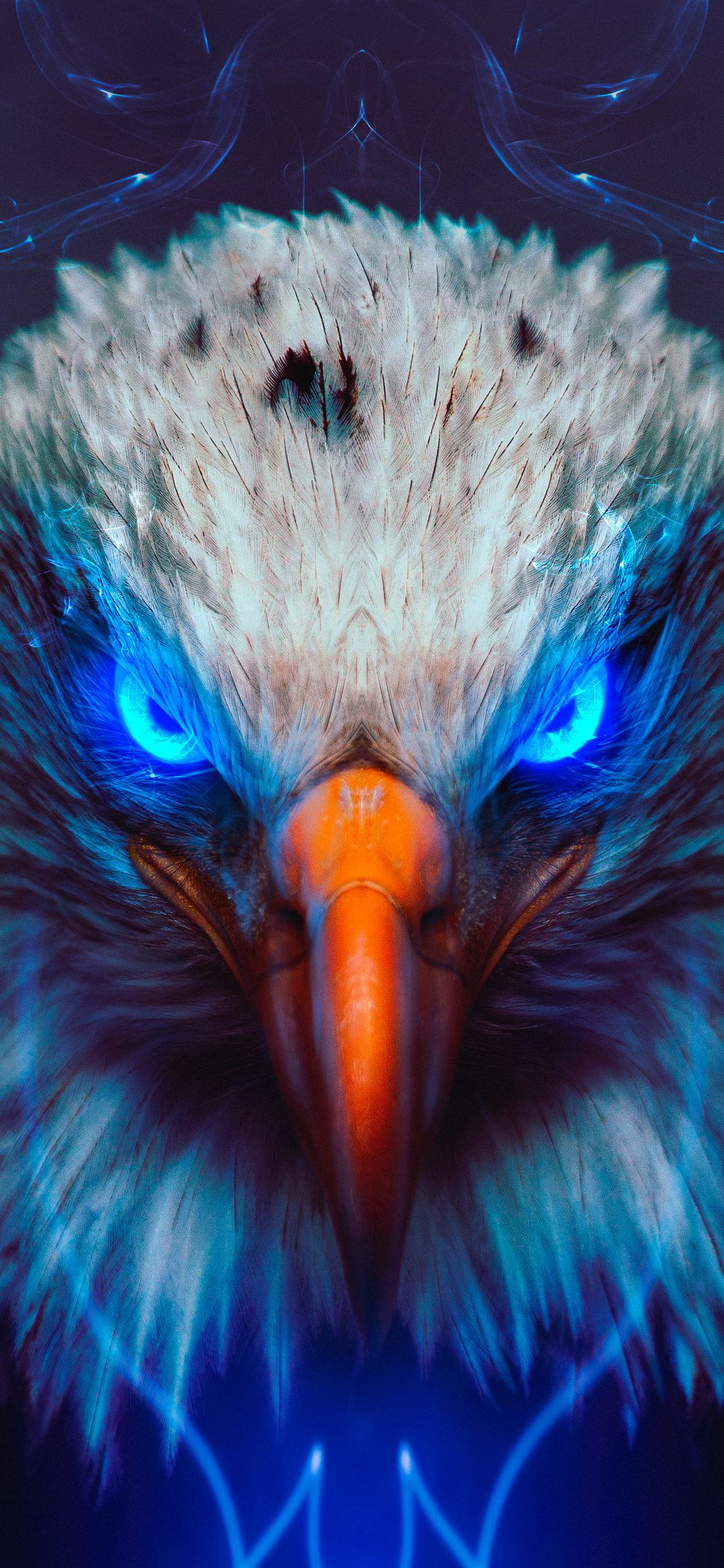 Eagle Eye iPhone XS, iPhone iPhone X HD 4k Wallpaper, Image, Background, Photo and Picture
