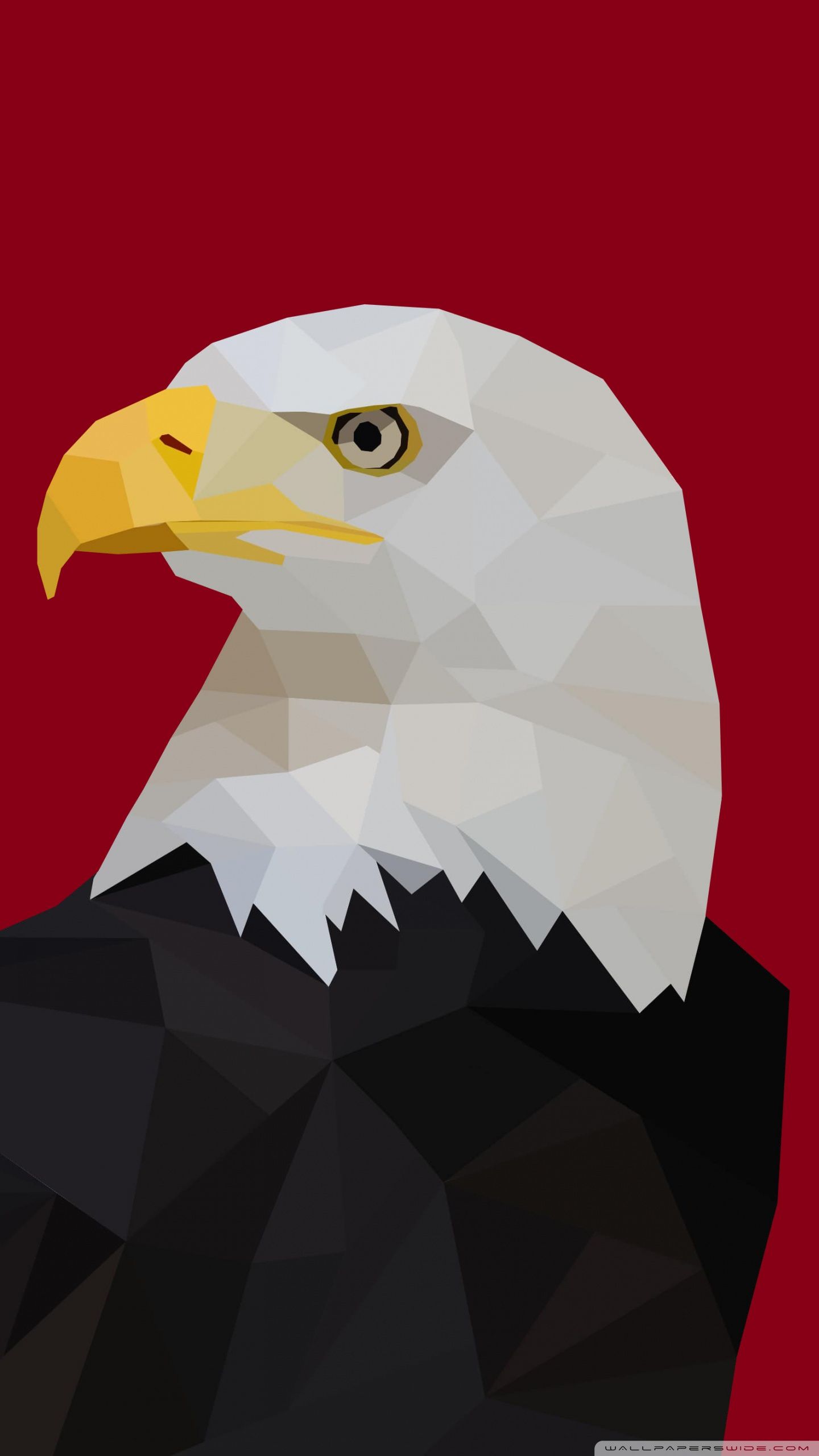 Bald Eagle iPhone Wallpaper