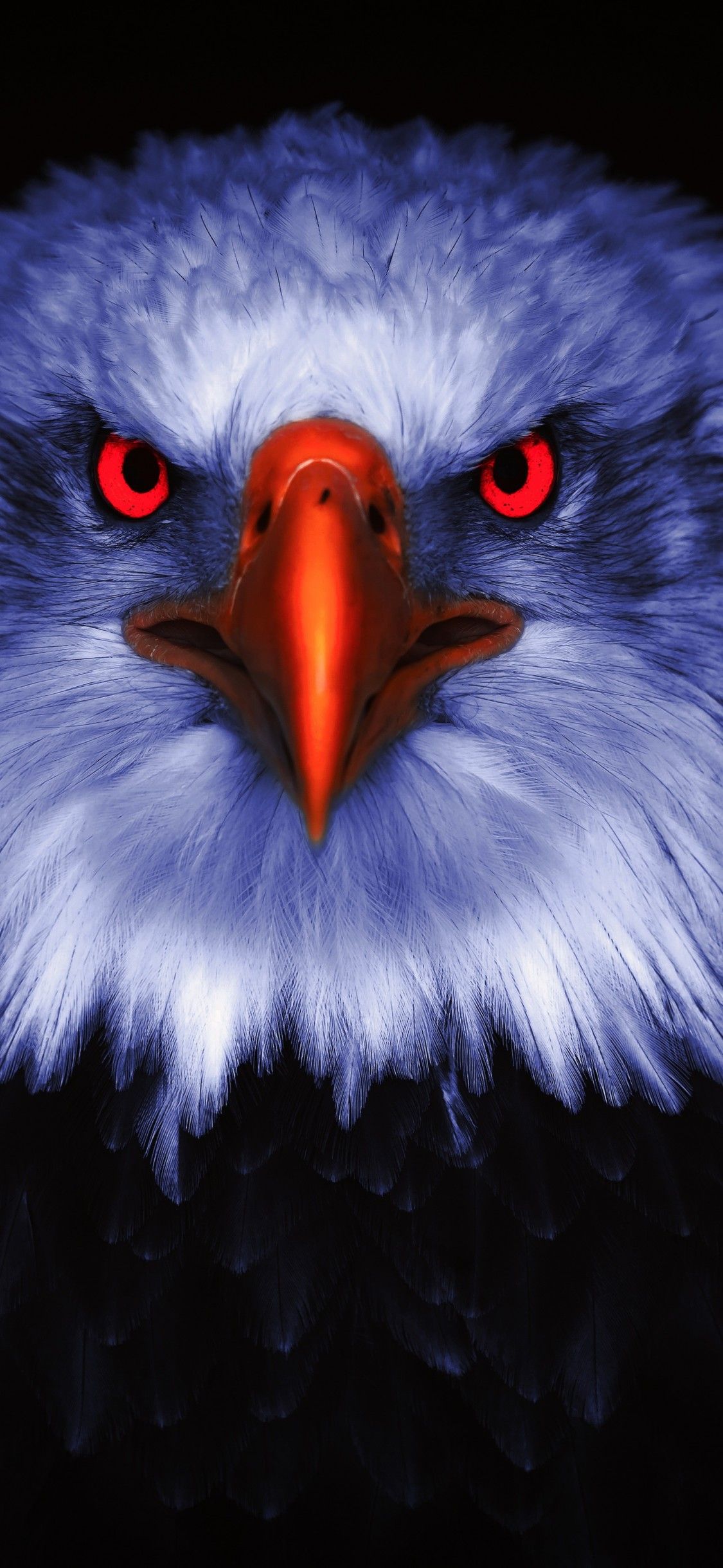 Eagle iPhone 4k Wallpapers - Wallpaper Cave