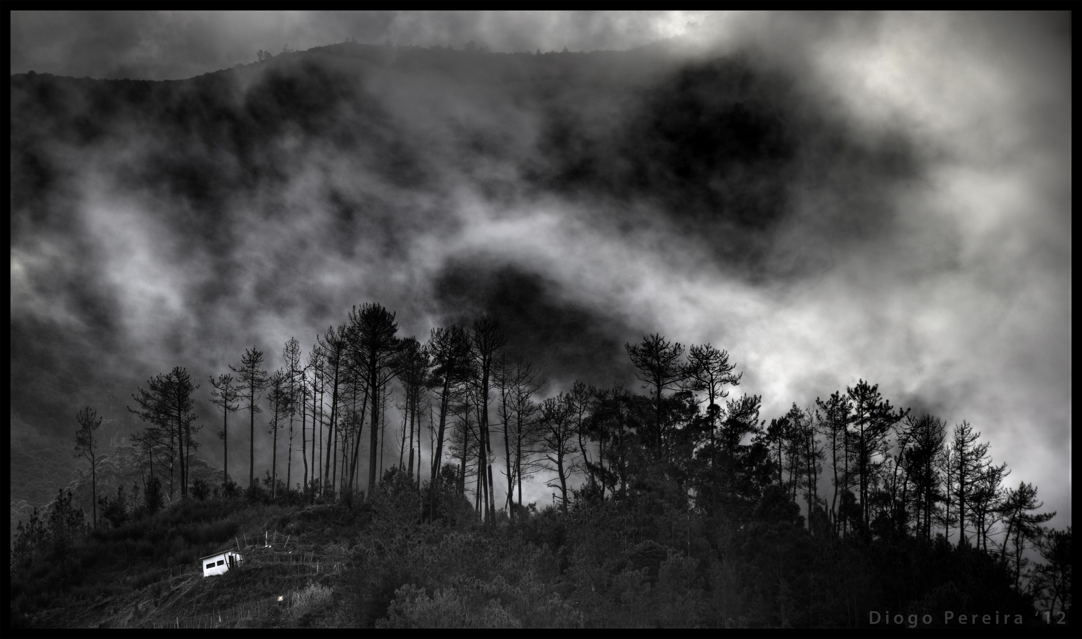Forest hill clouds sky mood dark wallpaperx2074