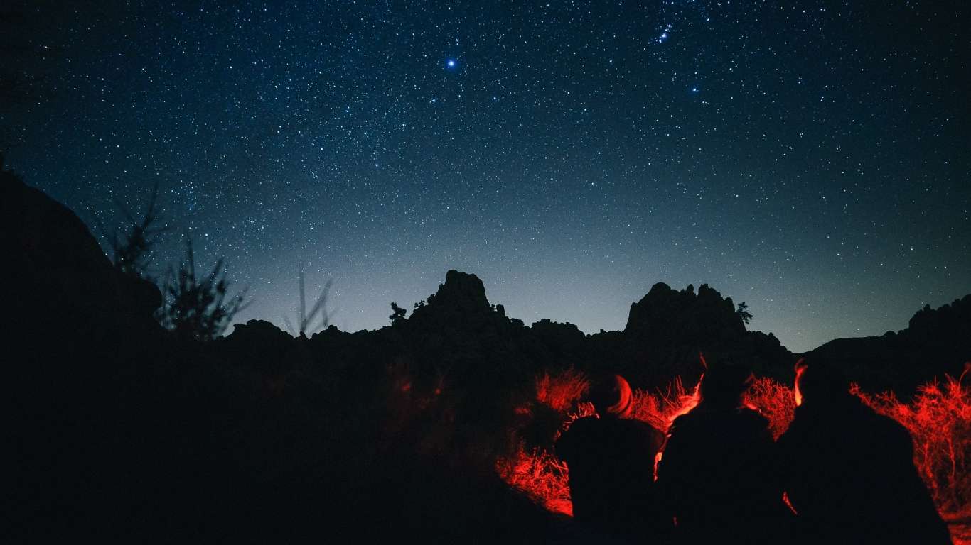 Dark 4k Nature Wallpaper