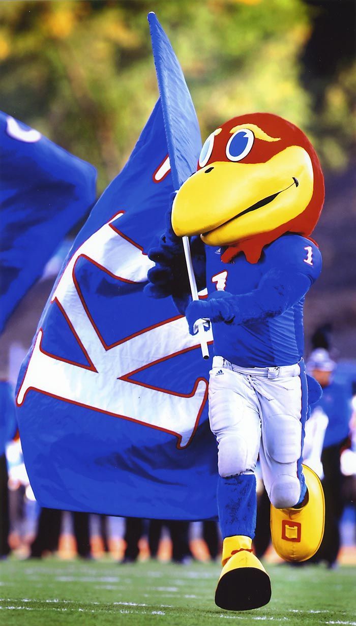 Need a new KU flag for the outside of our house. Football usa, Rock chalk jayhawk, University of kansas