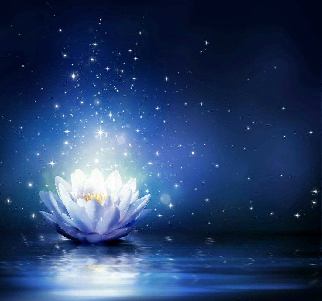 LOTUS. Blue lotus, Lotus flower meaning, Flower wallpaper