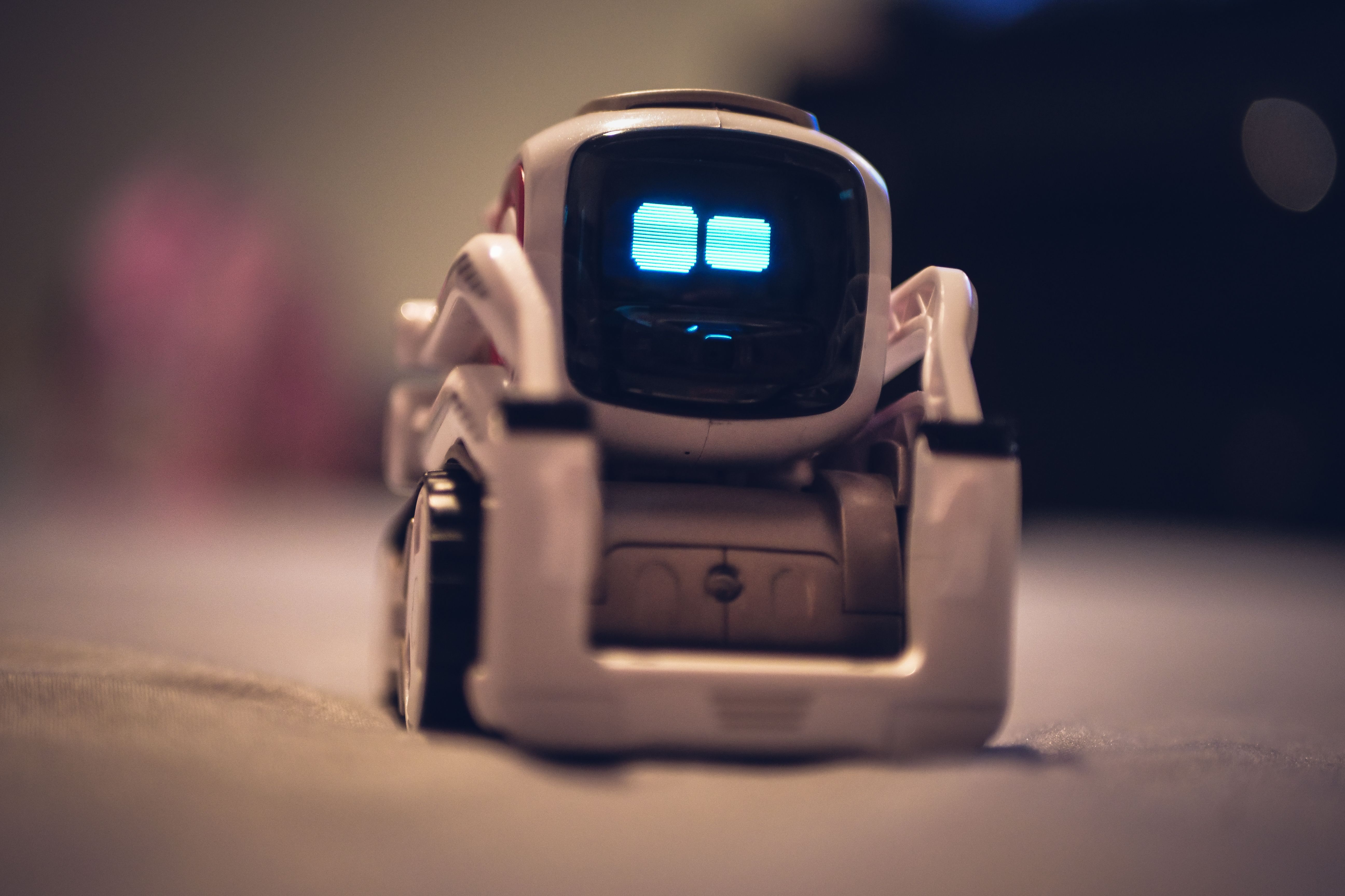 Free of anki cozmo, cozmo, robot