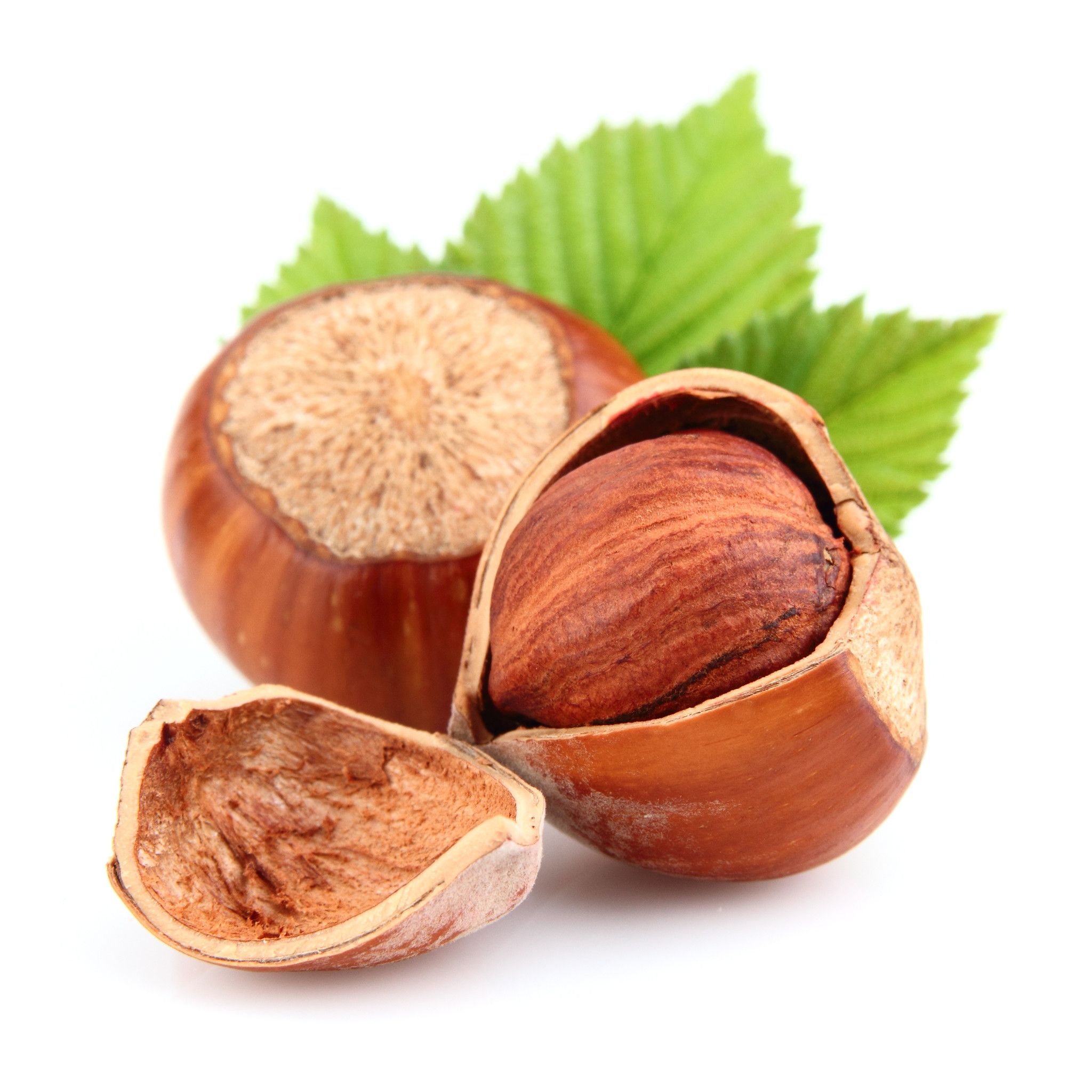 Hazelnut Wallpapers - Wallpaper Cave