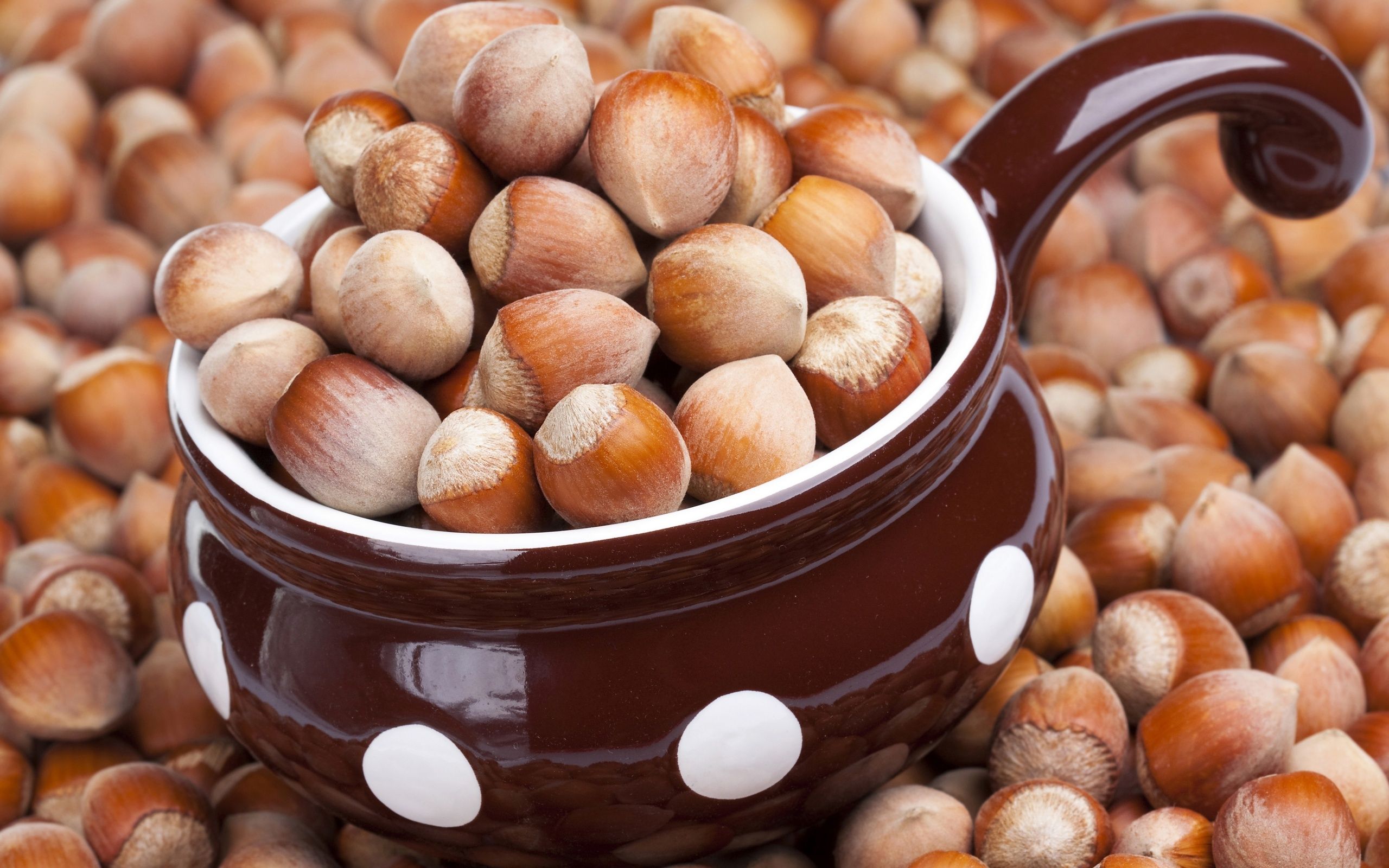 Hazelnut Wallpapers - Wallpaper Cave
