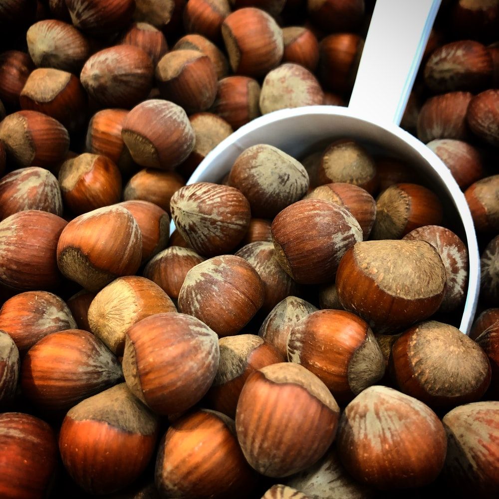 Hazelnut Picture. Download Free Image