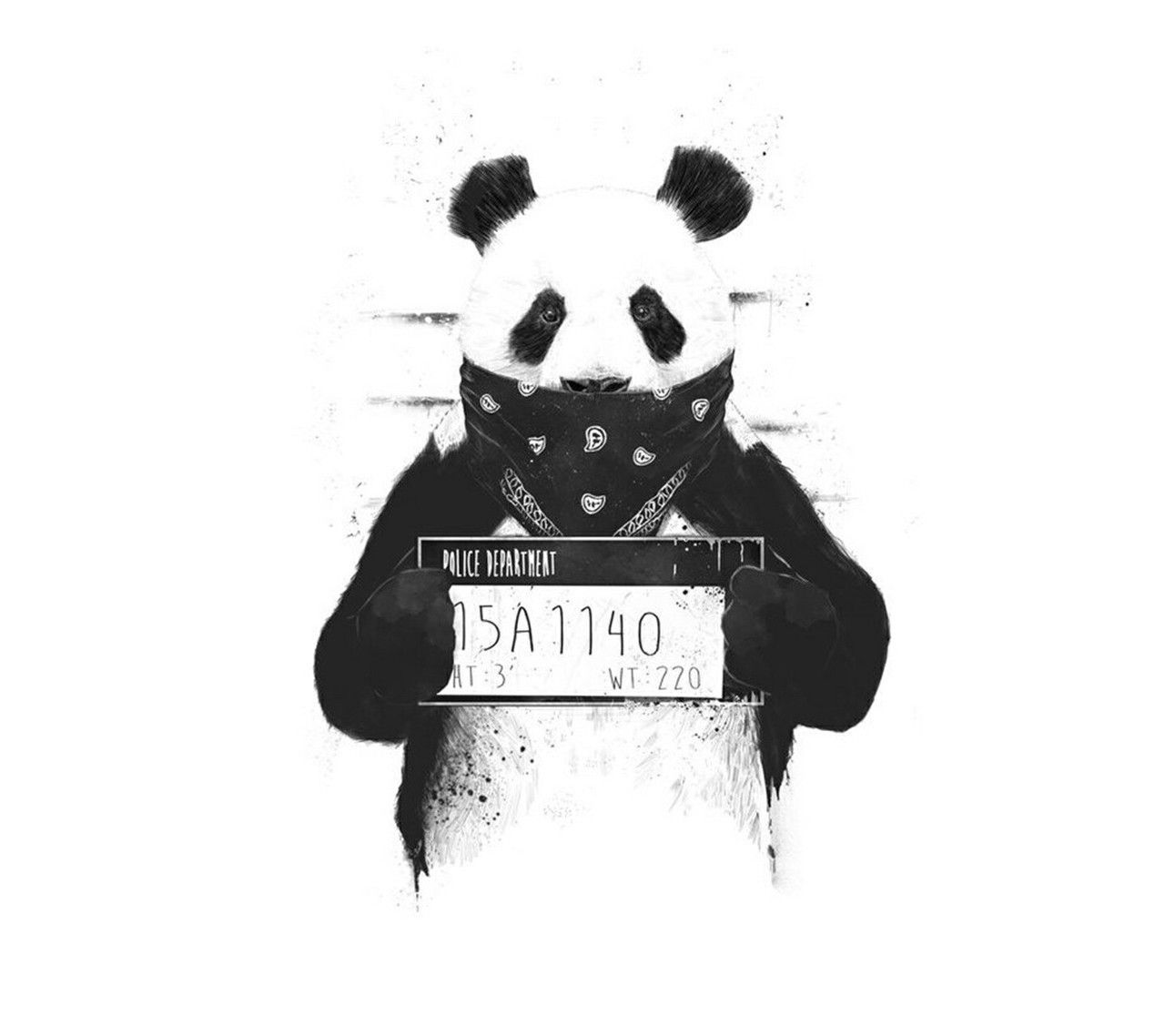 Panda And Wallpaper Image