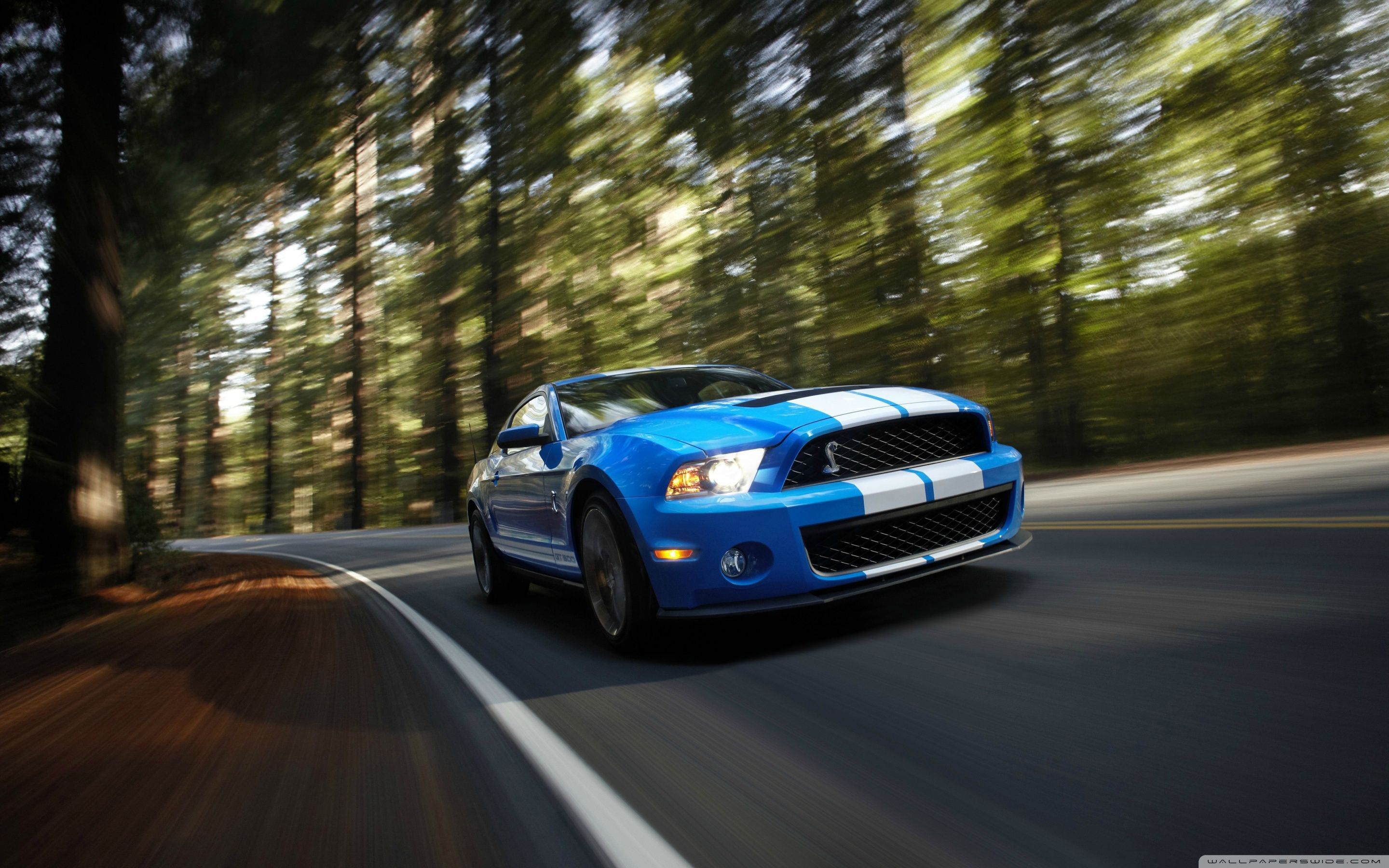 Blue Ford Mustang In The Forest Wallpaper