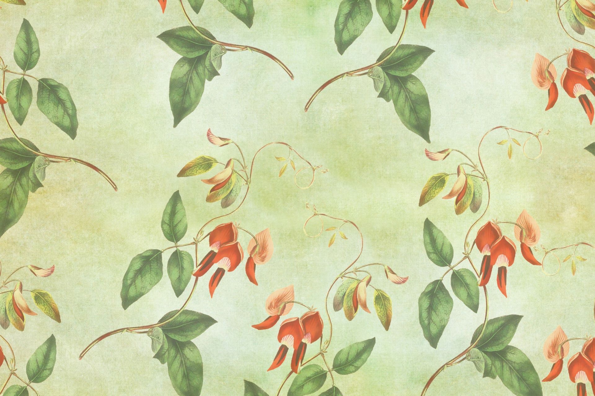 Virágos tapéta Vintage. Vintage floral wallpaper, Floral wallpaper, Wallpaper vintage